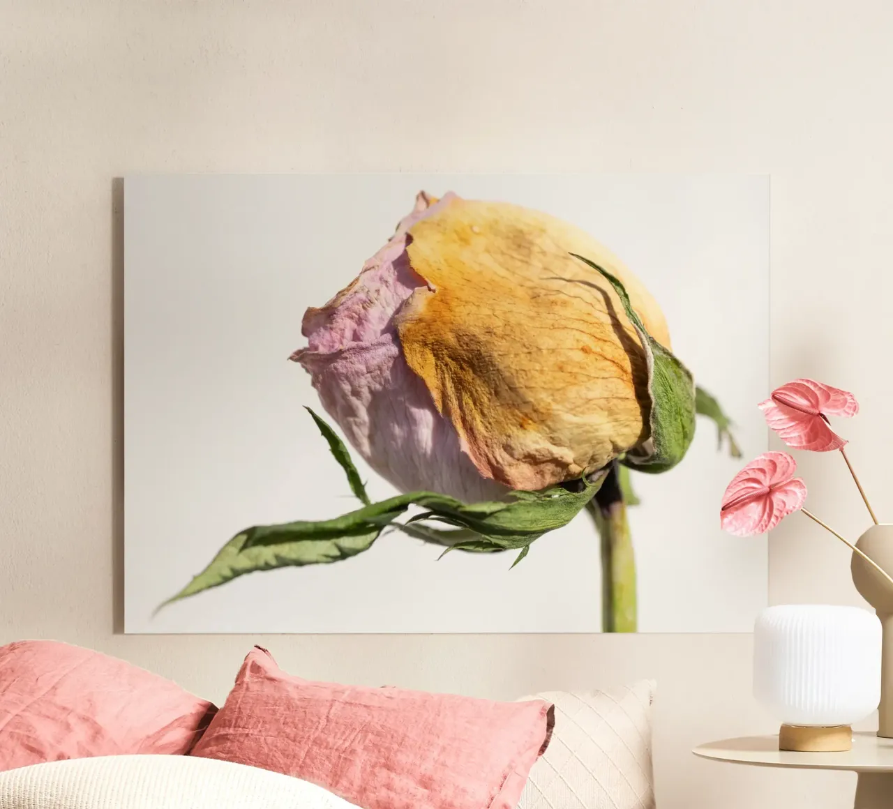 flora studies plexiglass da rafael campezato