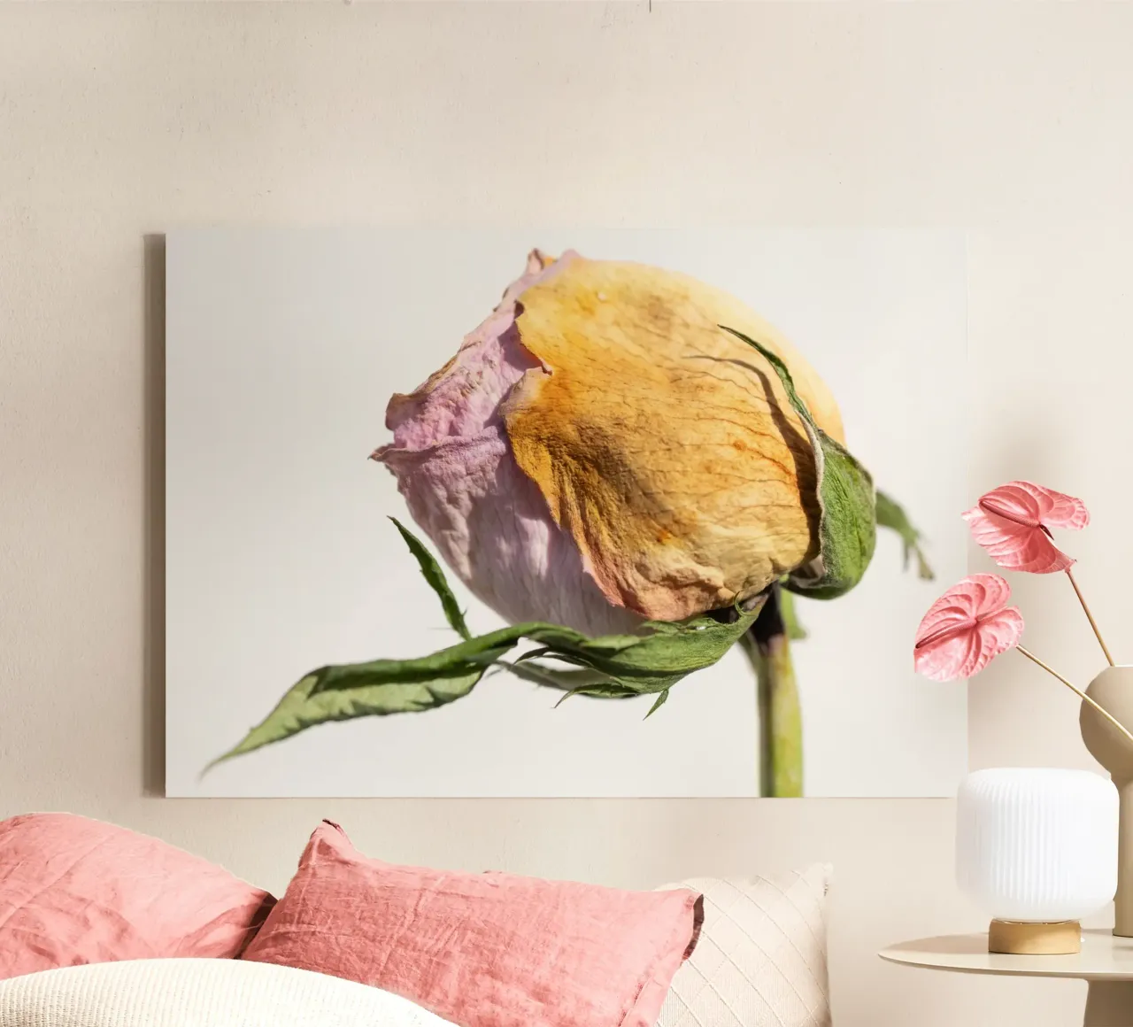 flora studies canvas by rafael campezato