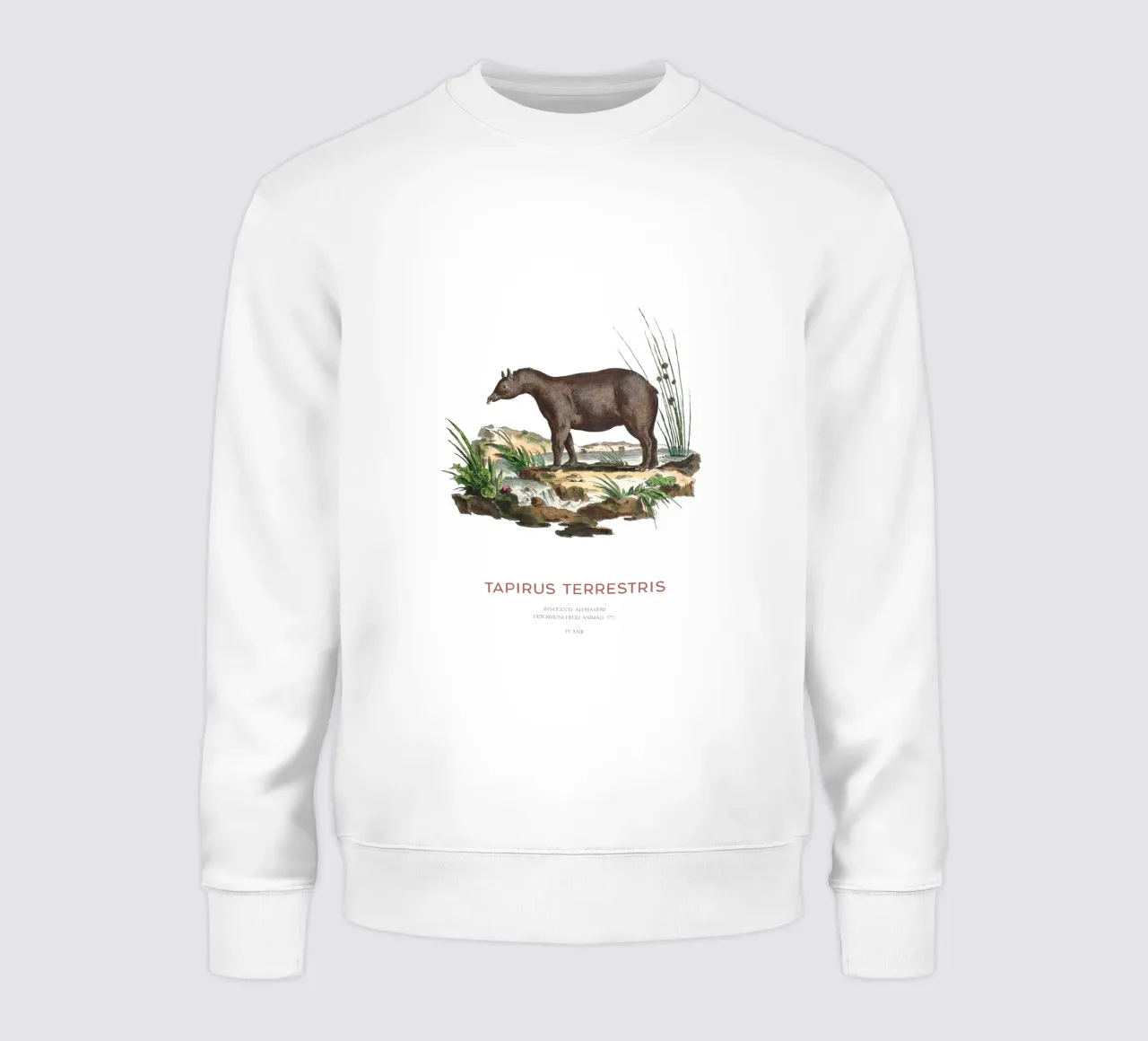 Zuid-Amerikaanse Zoölogische Kaart sweatshirt van Vintagrafica
