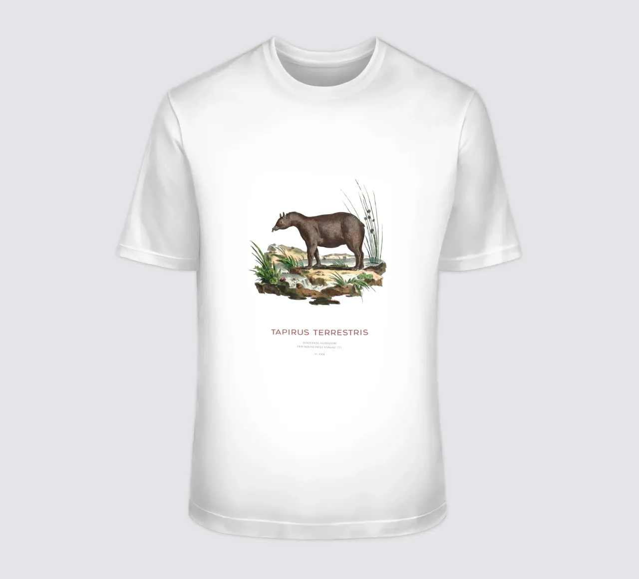 Tableau zoologique du tapir d'Amérique du Sud t-shirt de Vintagrafica