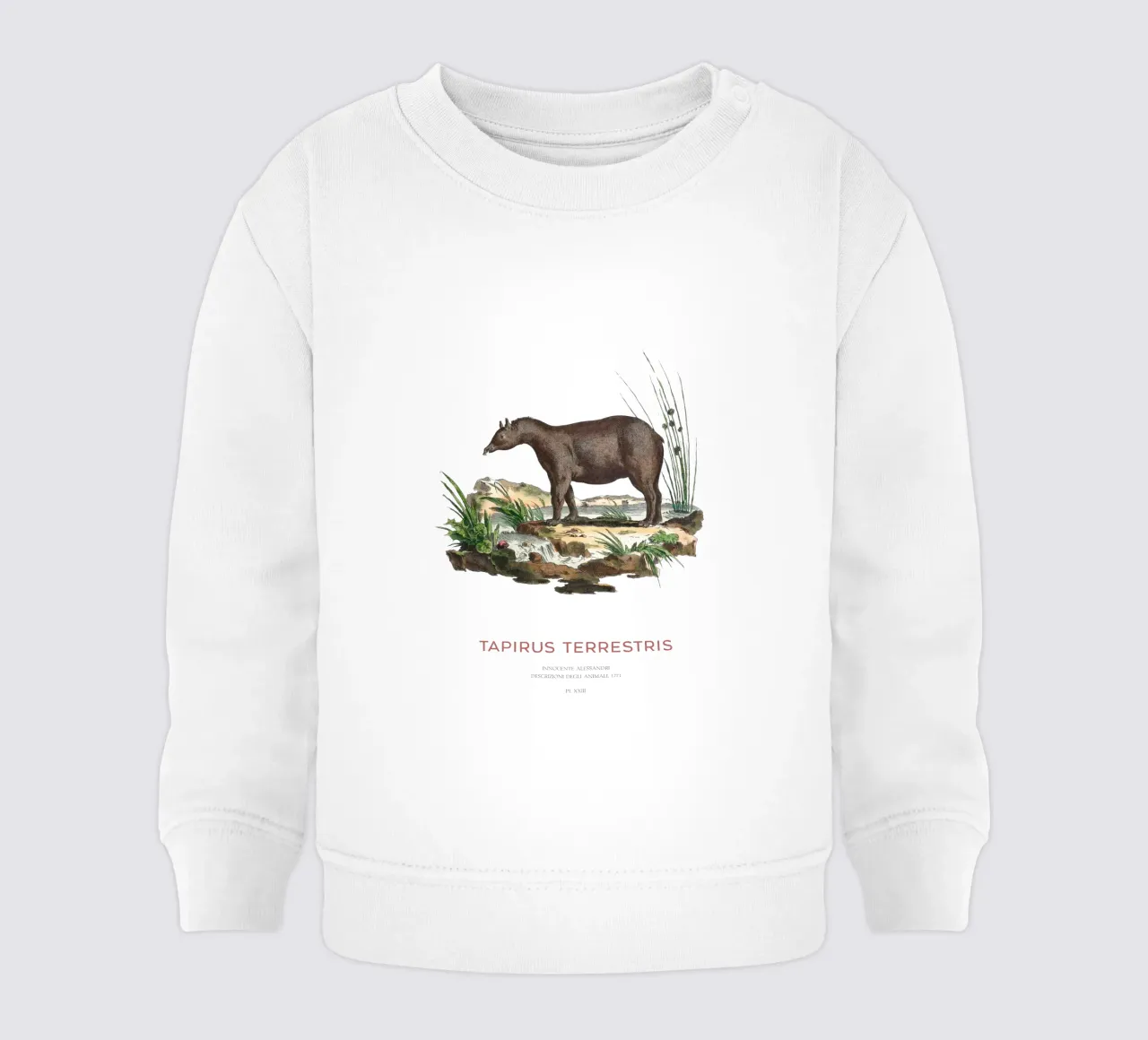 South American Tapir Zoological Chart baby sweatshirt by Vintagrafica