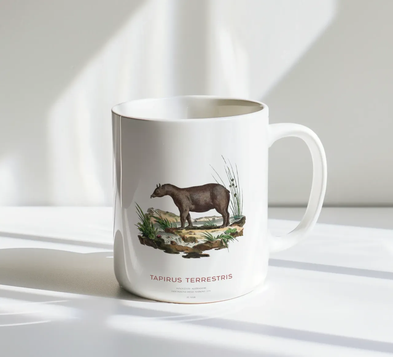 Zuid-Amerikaanse Zoölogische Kaart keramische mok van Vintagrafica