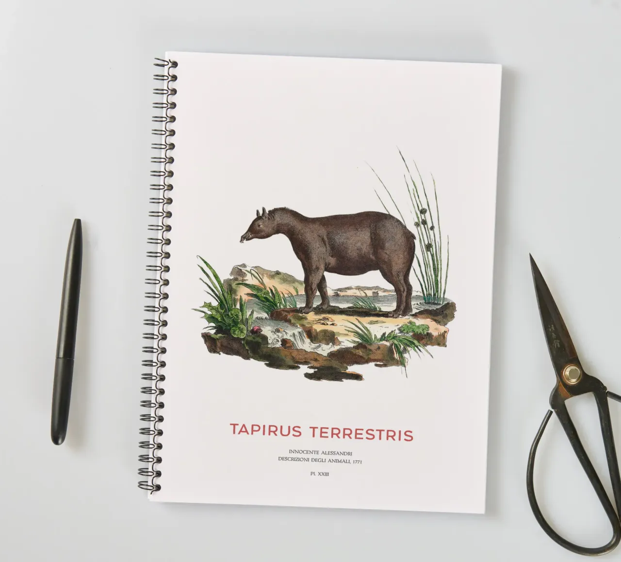 Südamerikanischer Tapir Zoologische Karte Ringbuch von Vintagrafica
