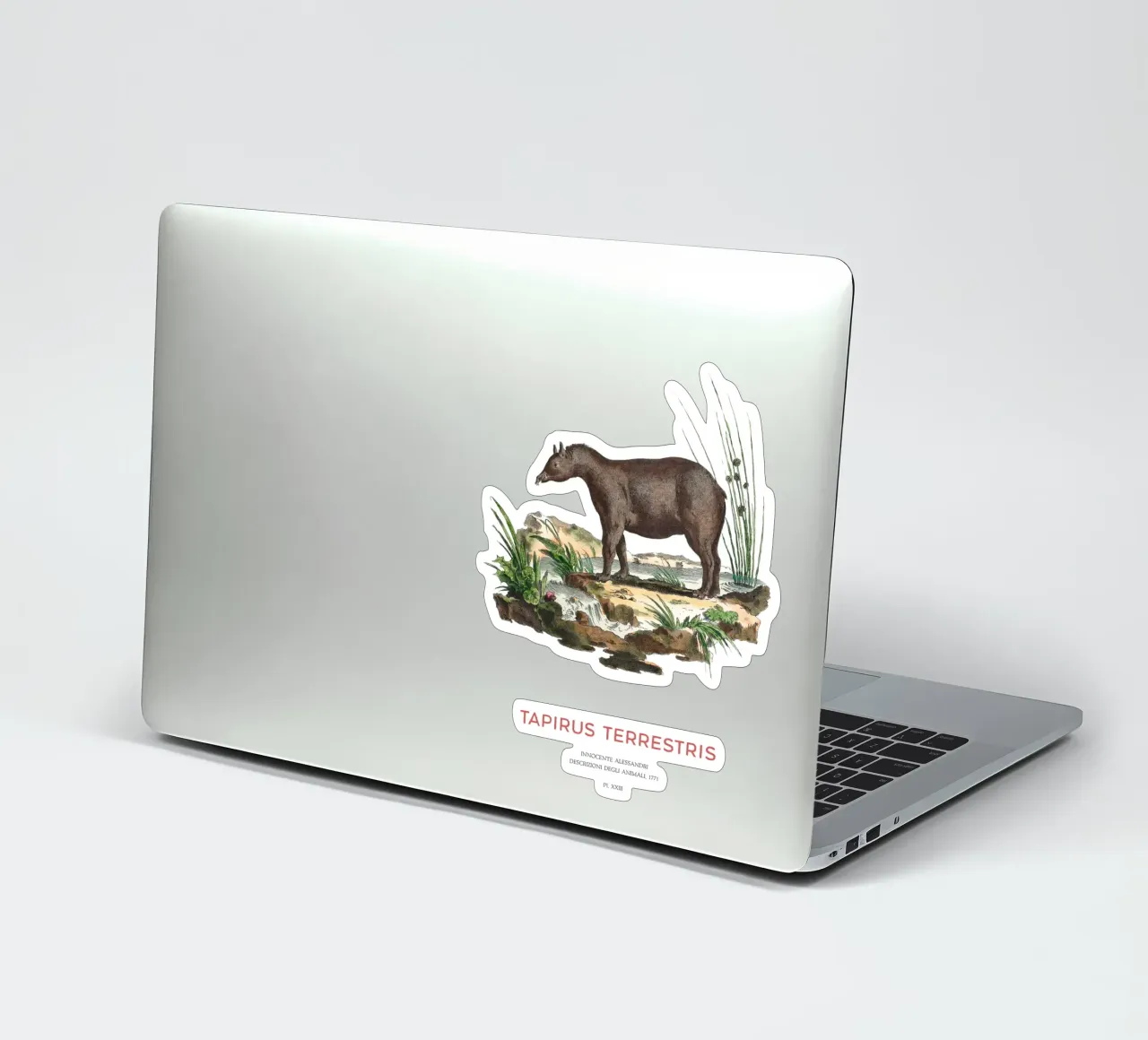 Zuid-Amerikaanse Zoölogische Kaart sticker van Vintagrafica