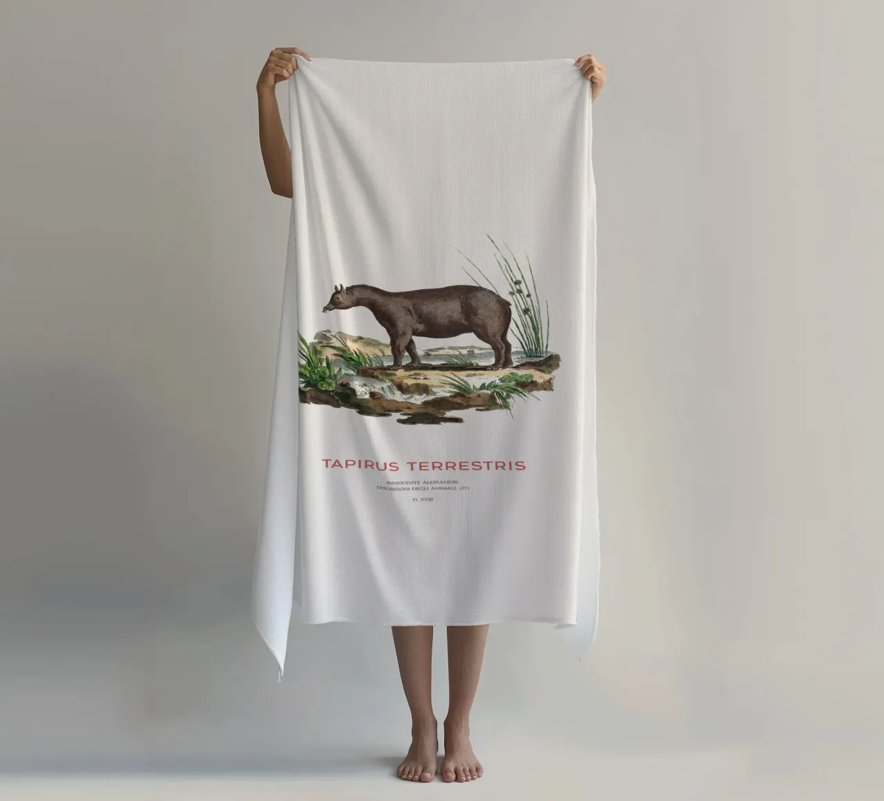 Zuid-Amerikaanse Zoölogische Kaart strandhanddoek van Vintagrafica