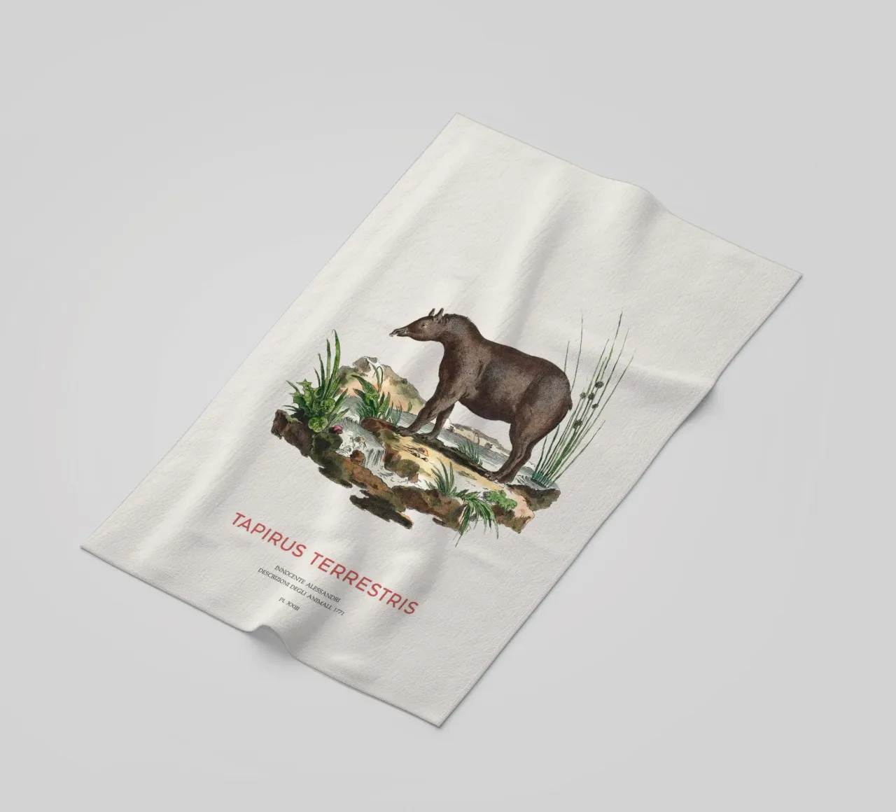 Zuid-Amerikaanse Zoölogische Kaart strandhanddoek van Vintagrafica