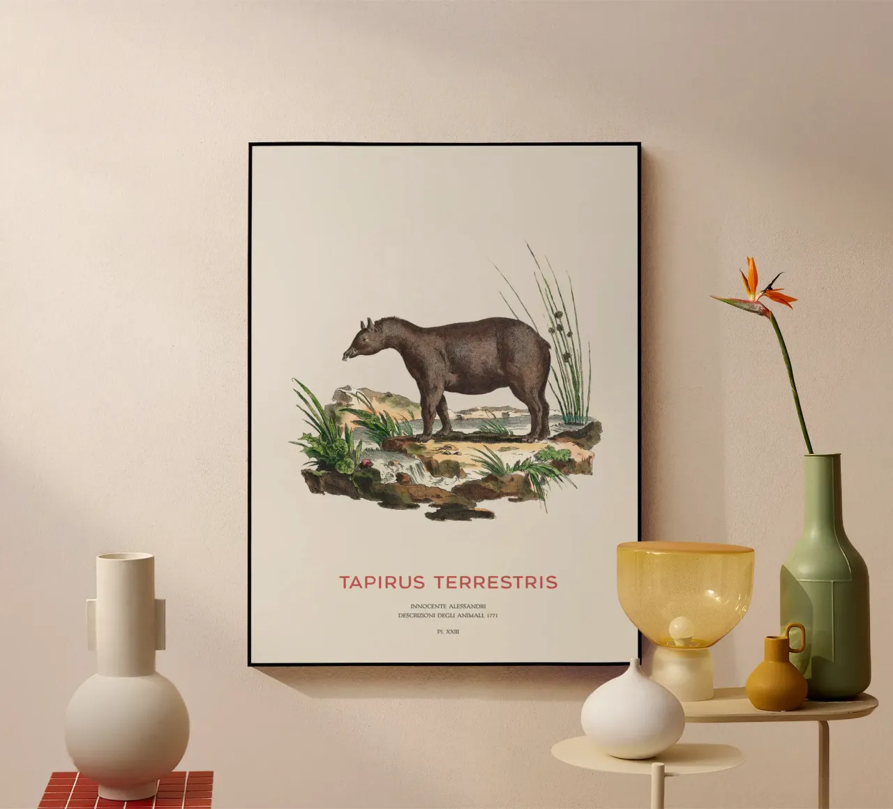 Zuid-Amerikaanse Zoölogische Kaart acryl van Vintagrafica