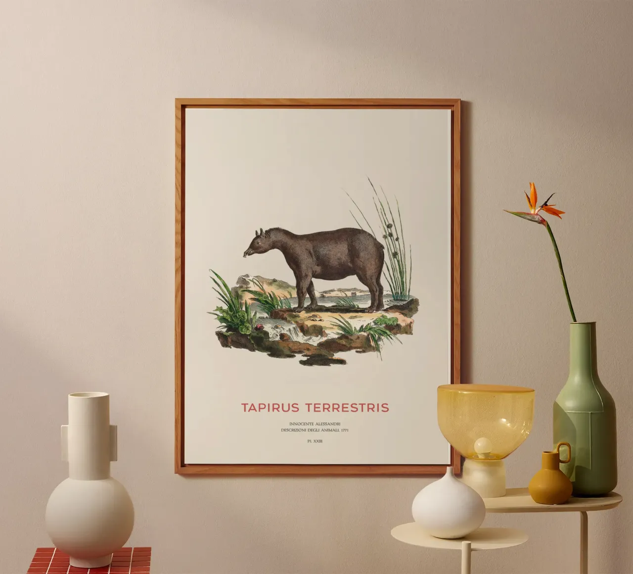 Südamerikanischer Tapir Zoologische Karte Alu-Dibond von Vintagrafica
