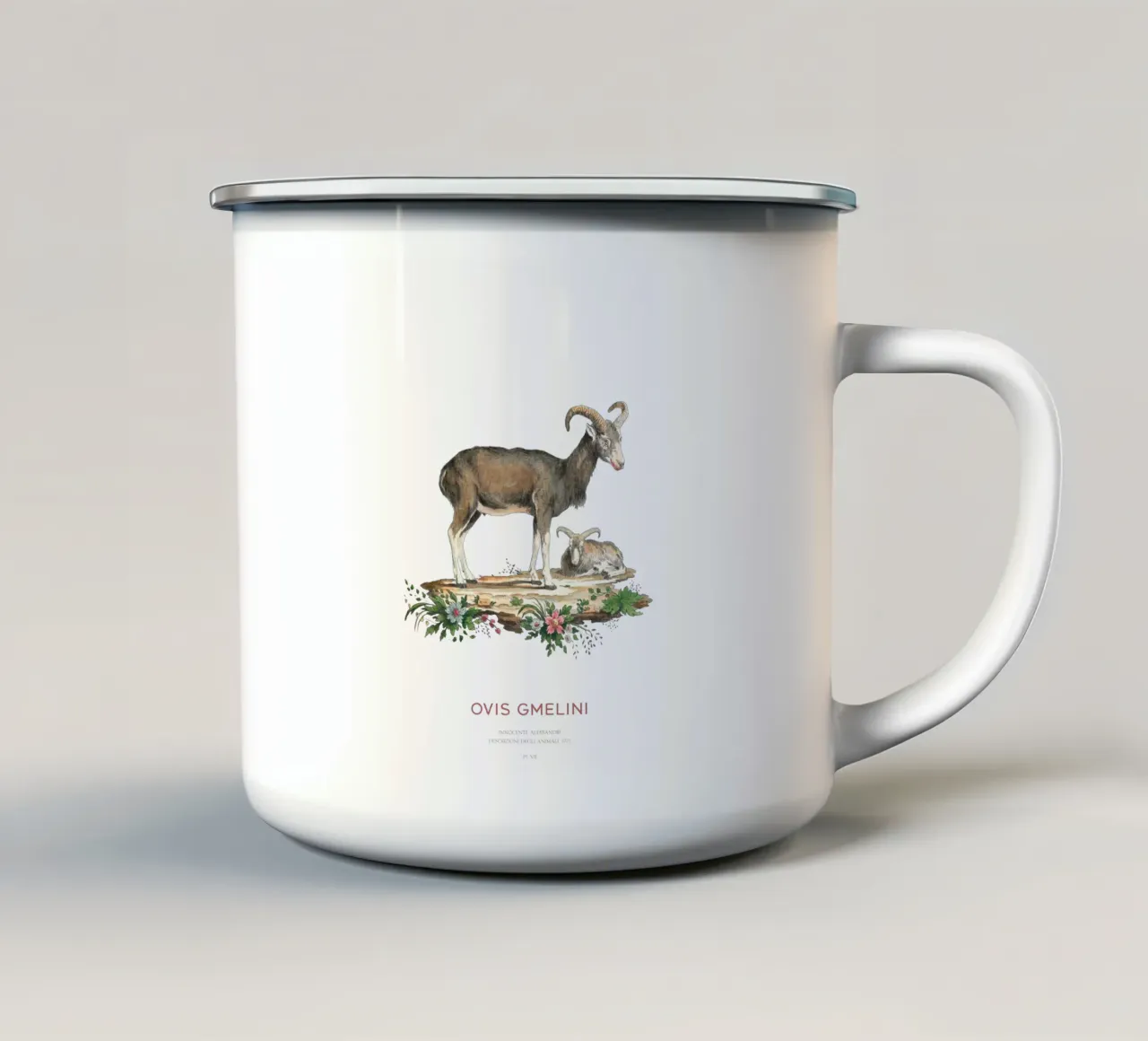 Arte scientifica muflone d'epoca tazza in smalto da Vintagrafica