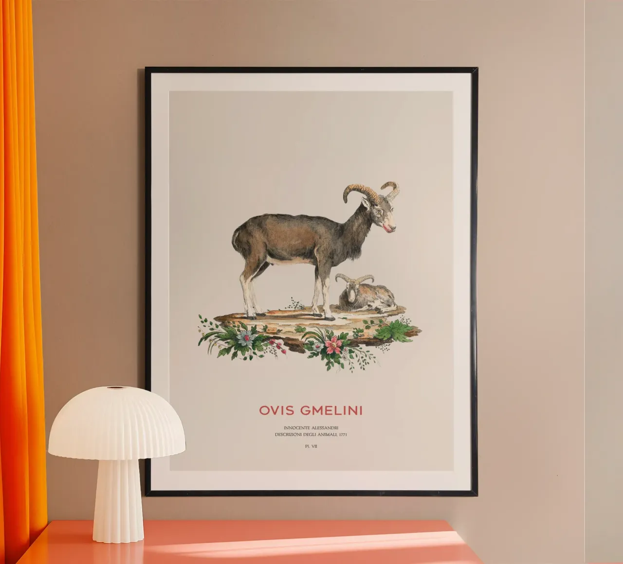 Arte scientifica muflone d'epoca poster da Vintagrafica