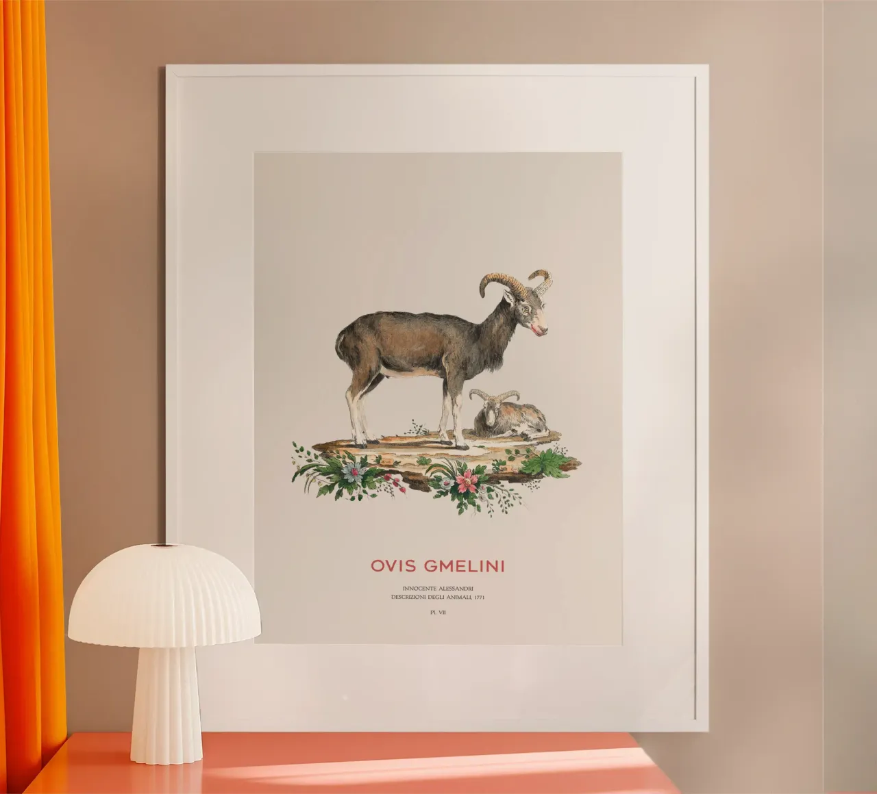 Arte scientifica muflone d'epoca poster da Vintagrafica