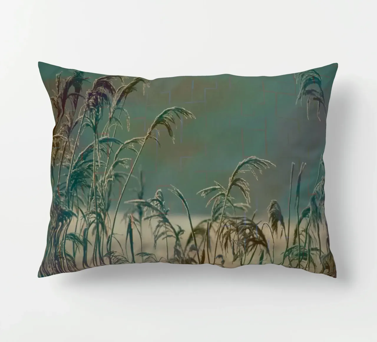 Canne su uno sfondo colorato cuscino da Something for you