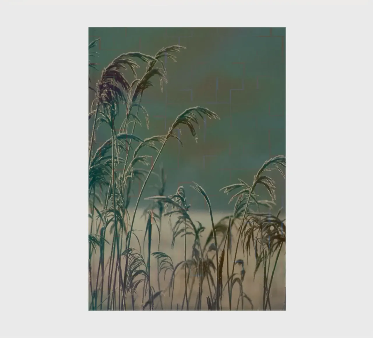 Reeds against a colourful background notebook by Something for you