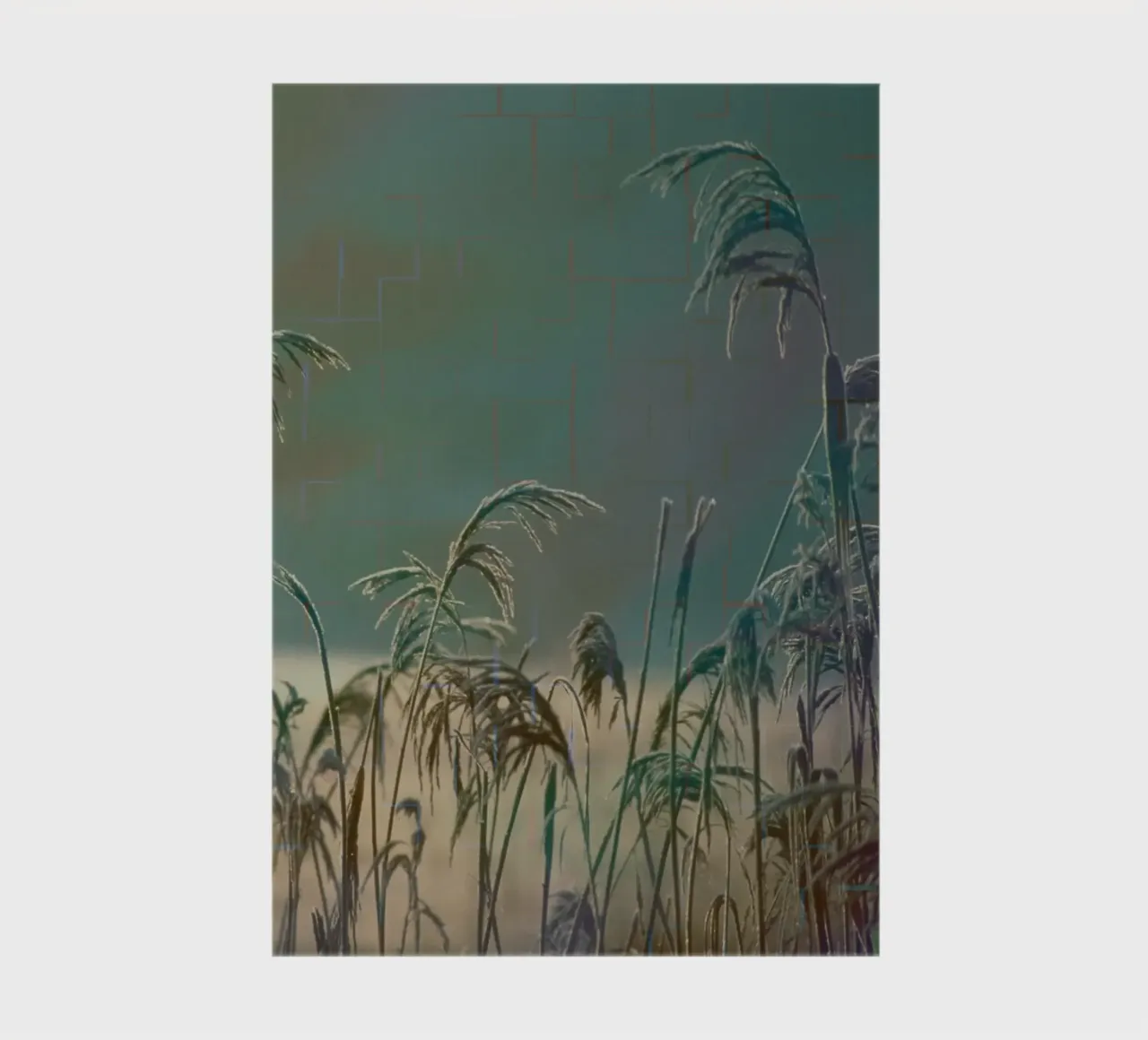 Reeds against a colourful background notebook by Something for you