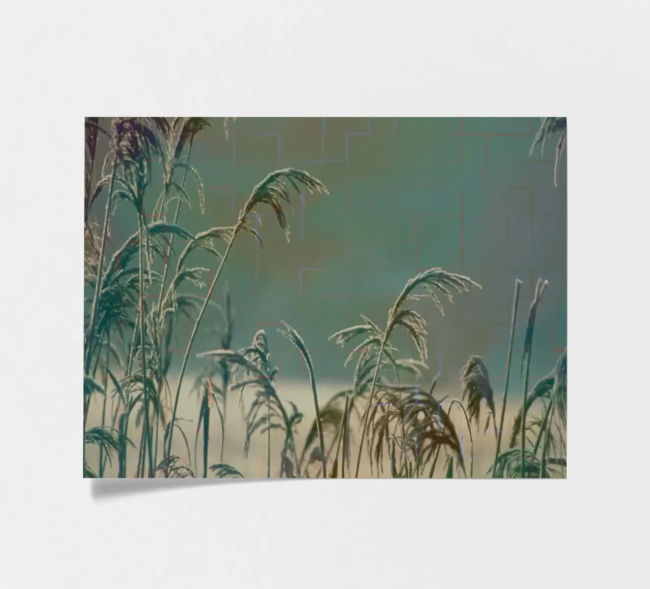 Reeds against a colourful background sticker sheet by Something for you