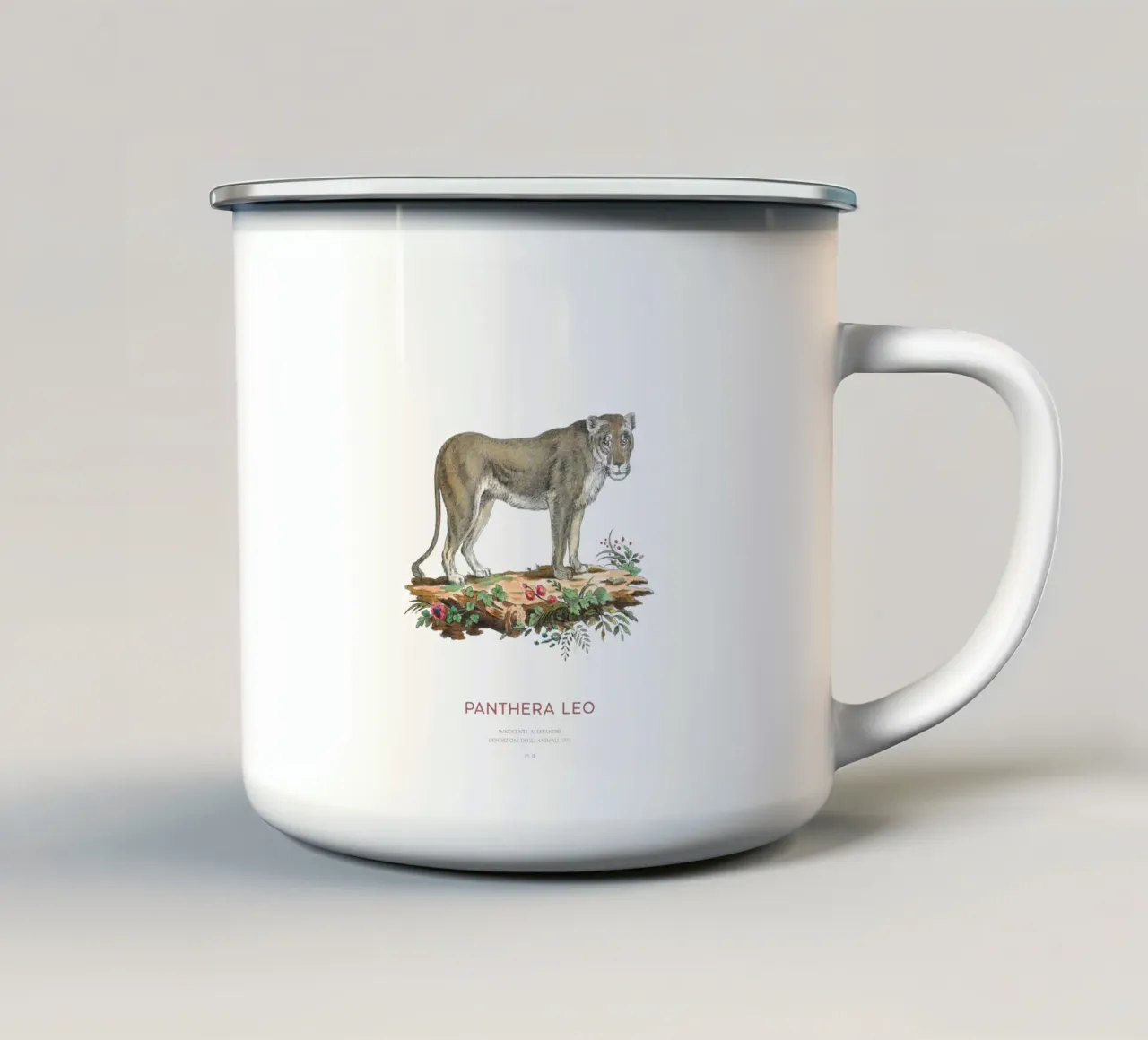 Leone d'epoca Illustrazione scientifica tazza in smalto da Vintagrafica