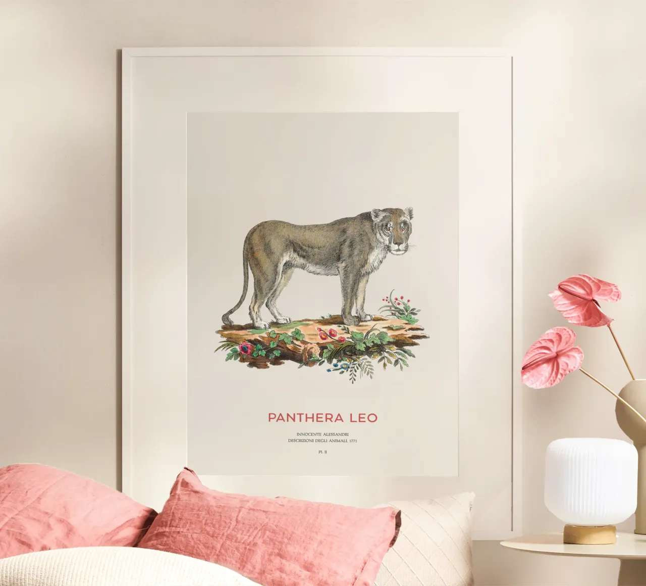 Leone d'epoca Illustrazione scientifica poster con telaio in legno da Vintagrafica
