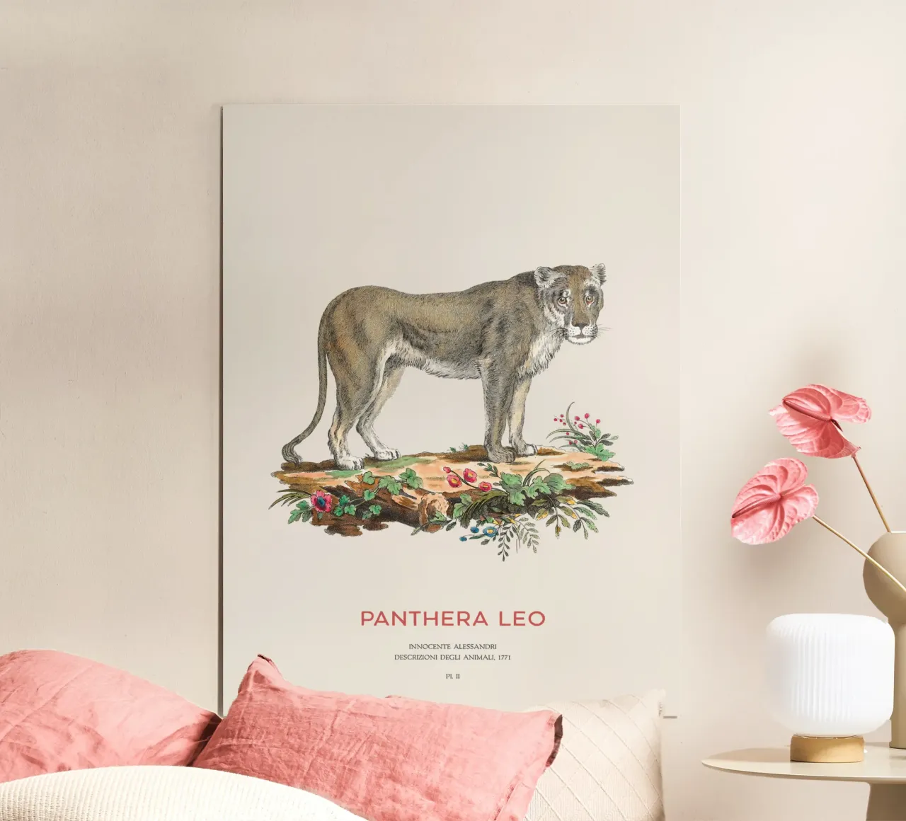 Leone d'epoca Illustrazione scientifica poster con telaio in legno da Vintagrafica
