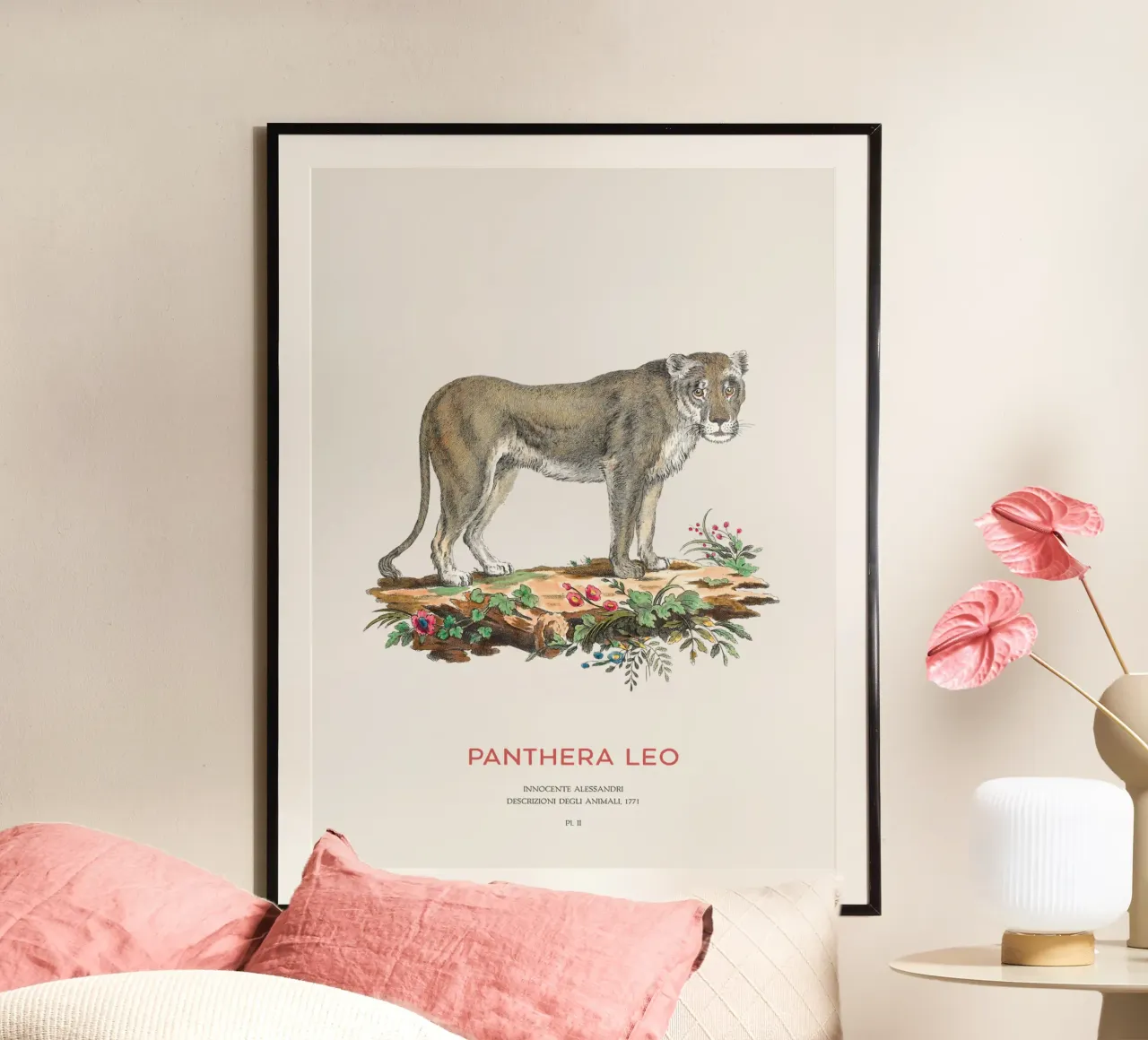 Leone d'epoca Illustrazione scientifica poster con telaio in legno da Vintagrafica