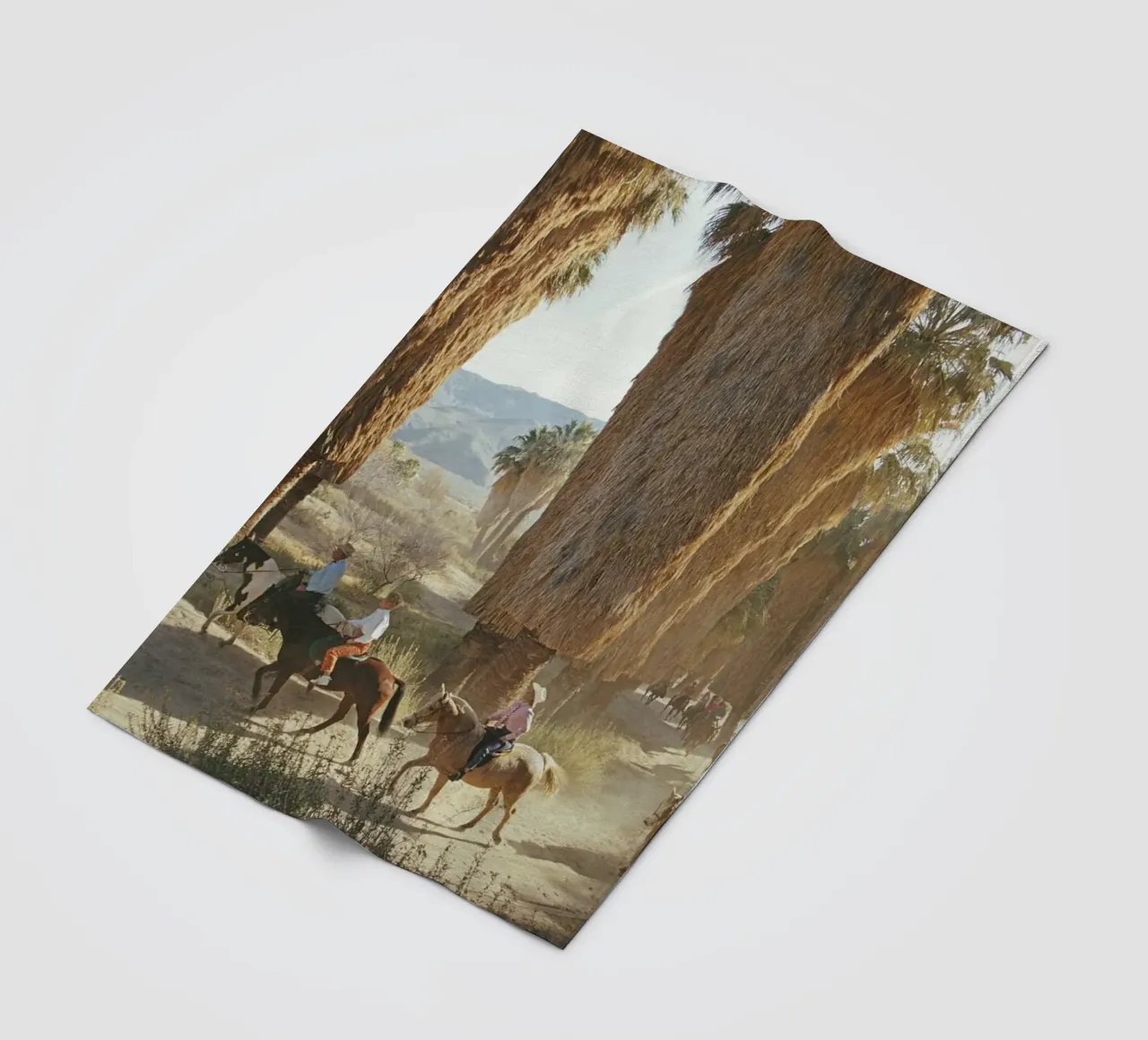 I primi cavalieri Slim Aarons coperta in pile da Chrisvintage
