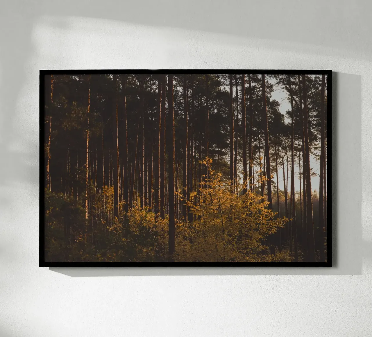 Sussurri della foresta poster con telaio in alluminio da PhotoVibe Decor