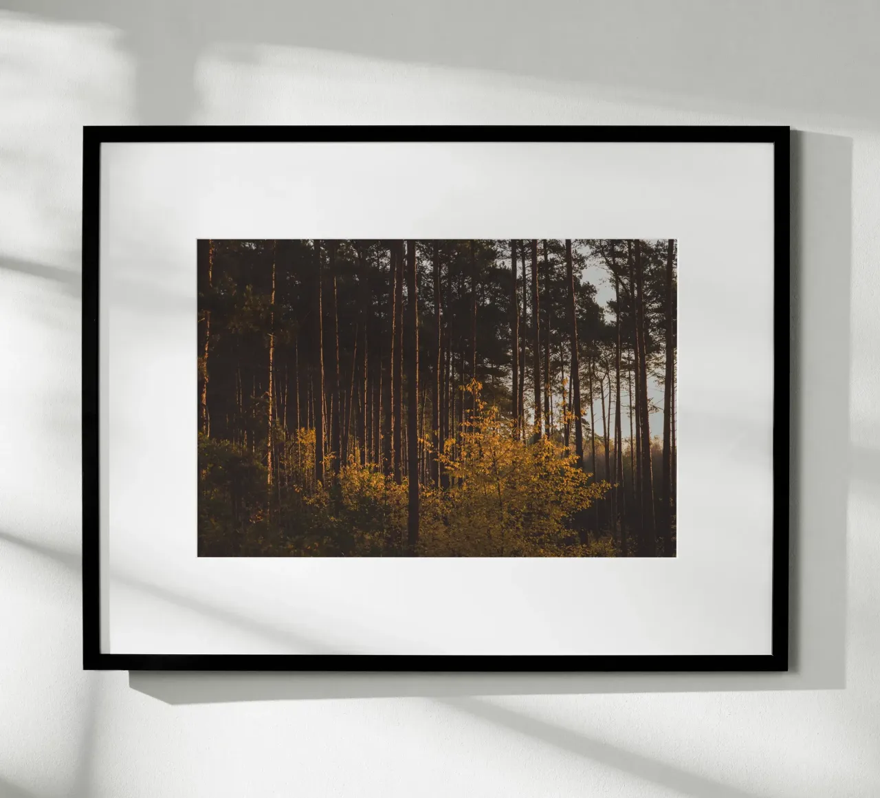 Sussurri della foresta poster con telaio in alluminio da PhotoVibe Decor