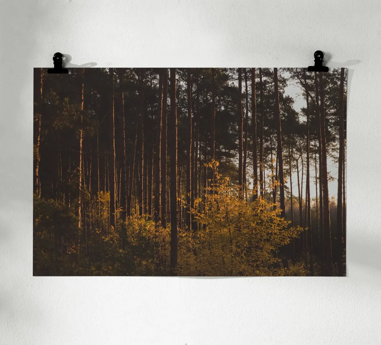 Sussurri della foresta poster con telaio in alluminio da PhotoVibe Decor