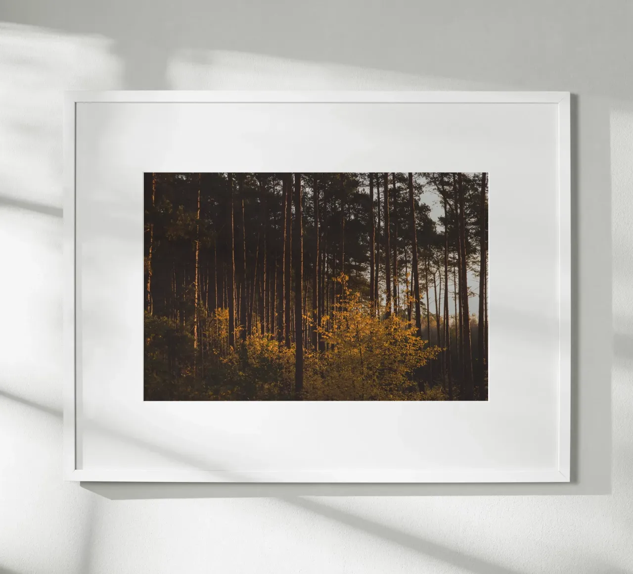 Sussurri della foresta poster con telaio in alluminio da PhotoVibe Decor
