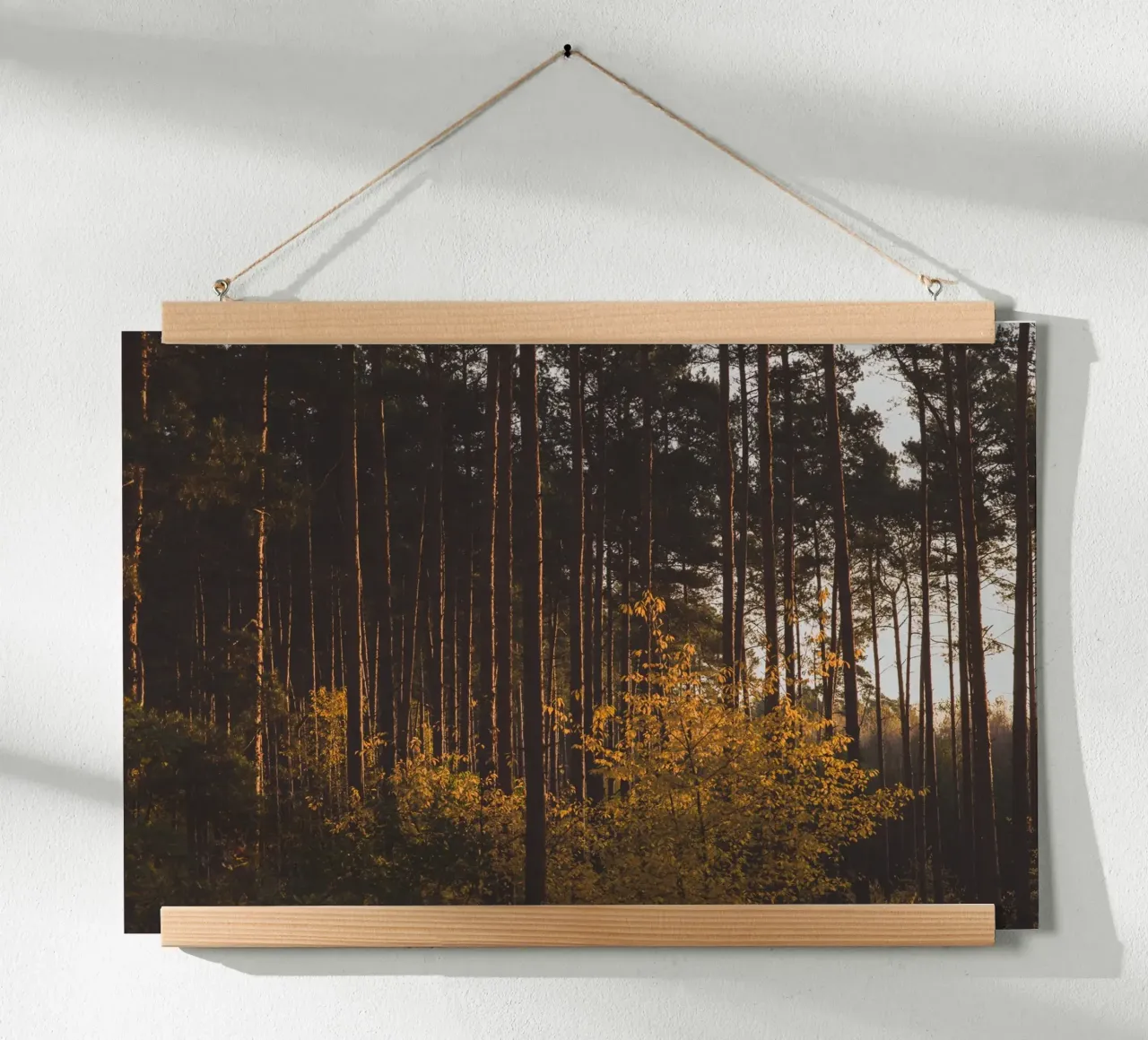 Sussurri della foresta poster con telaio in alluminio da PhotoVibe Decor