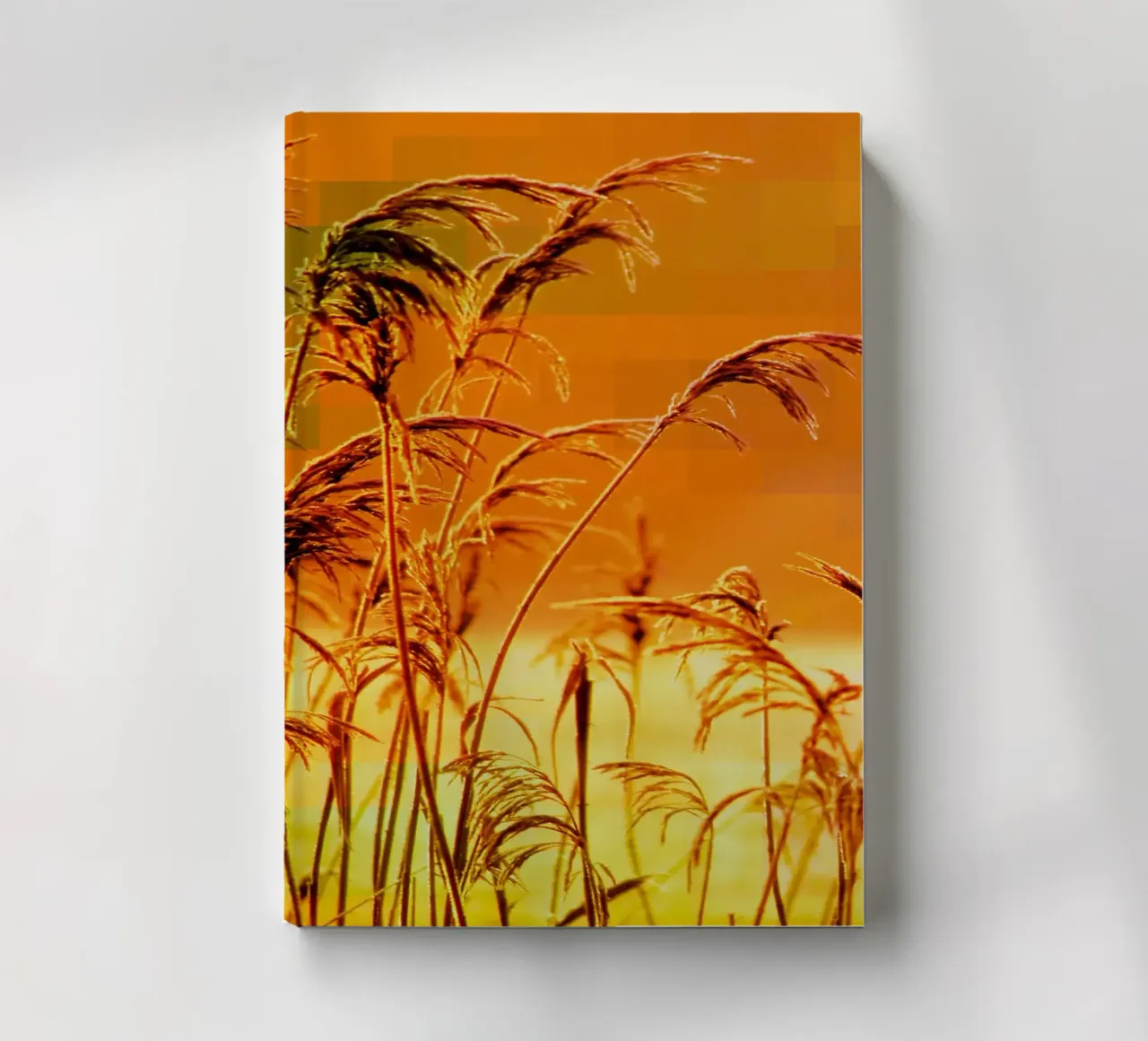 Golden reeds against an orange rectangular background notebook by Something for you