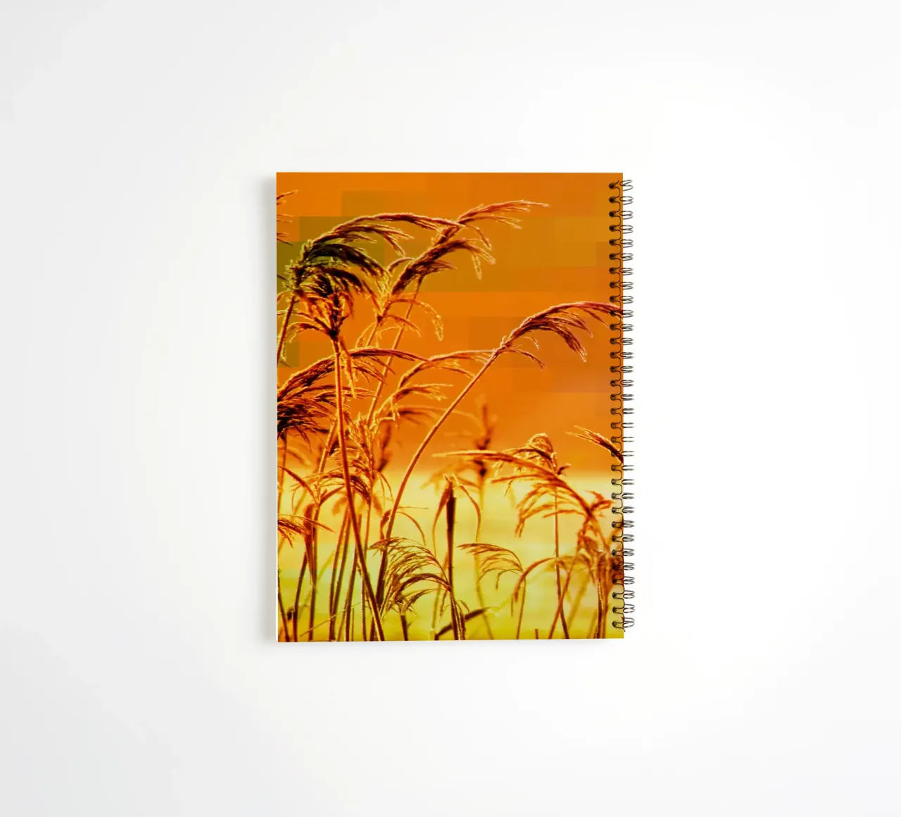 Golden reeds against an orange rectangular background spiral notebook by Something for you