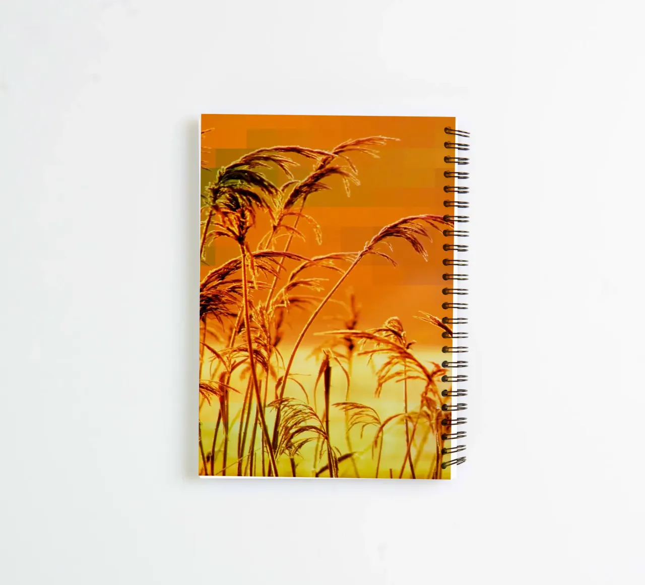 Golden reeds against an orange rectangular background spiral notebook by Something for you
