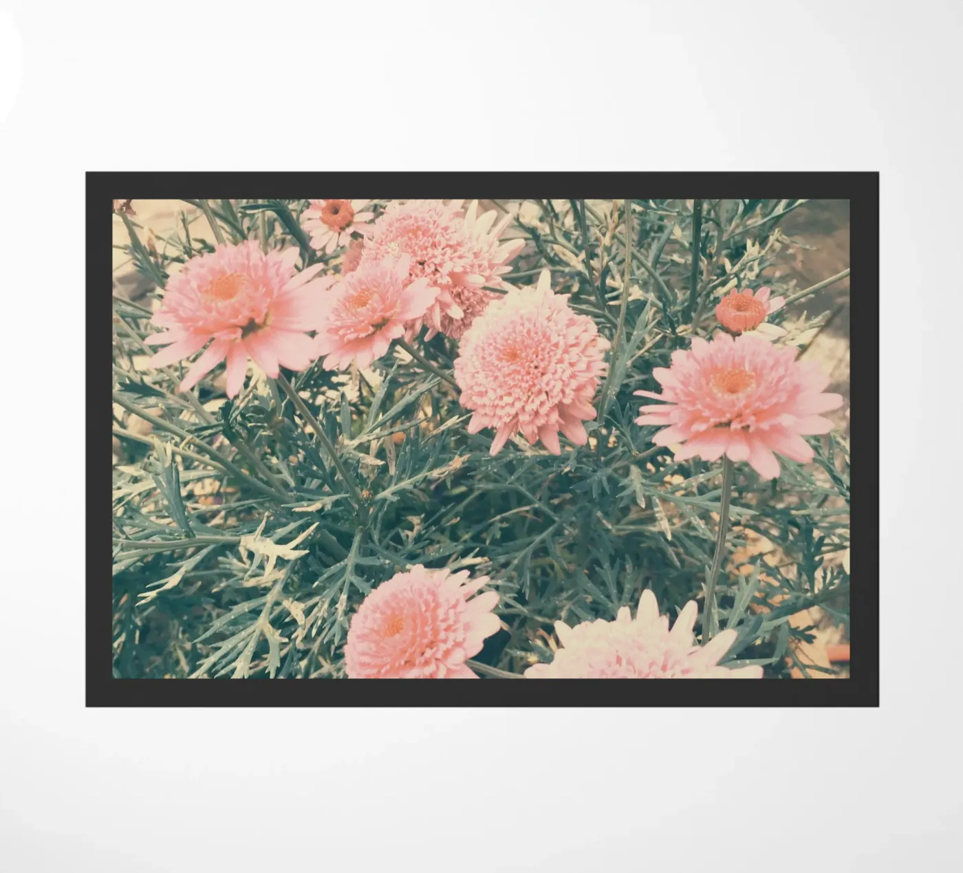 June paillasson de Cassia Beck Photography