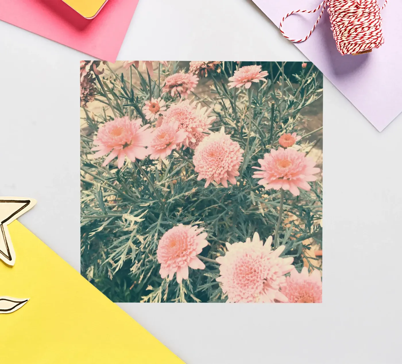 Juni sticker van Cassia Beck Photography