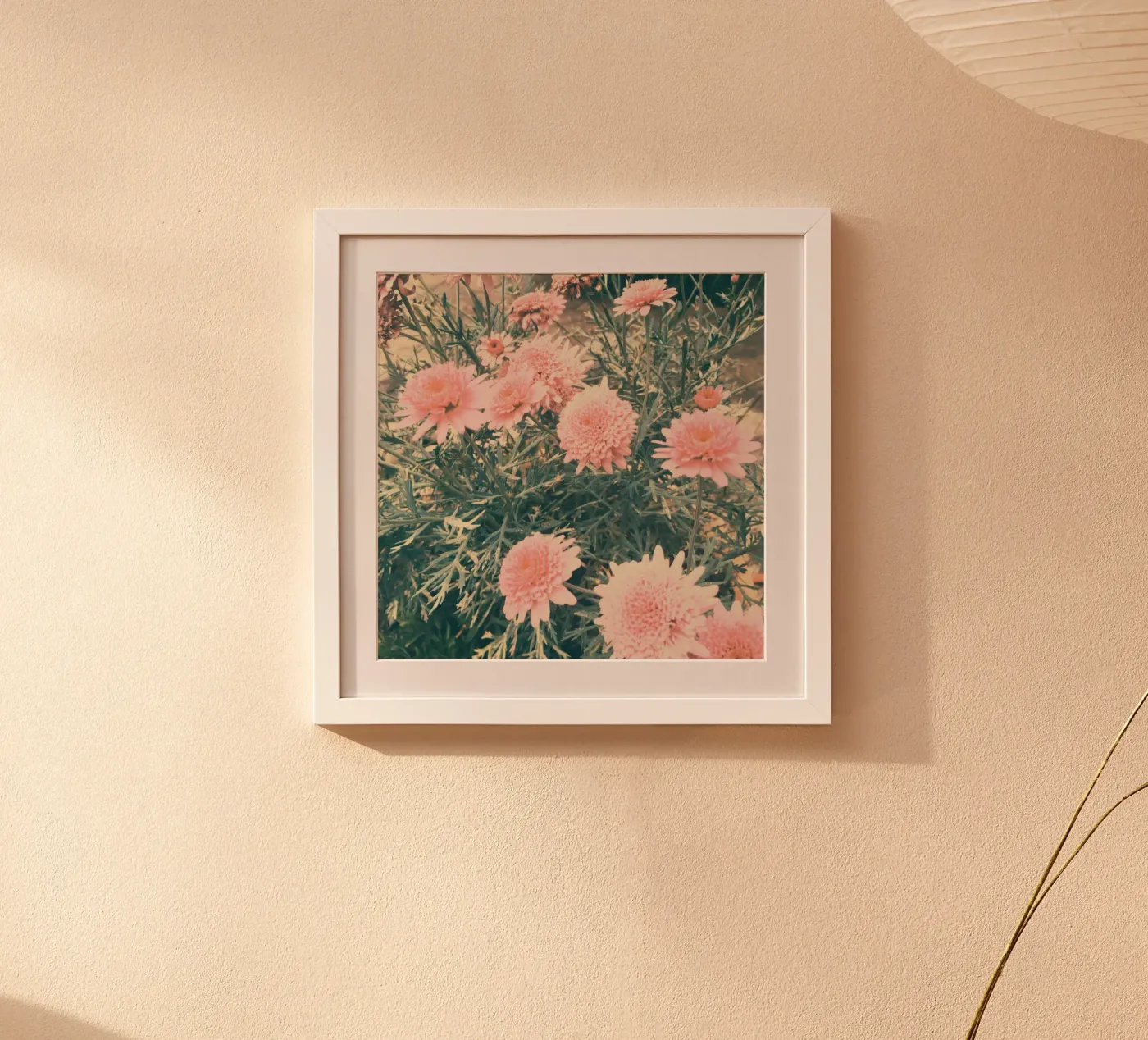 June poster da Cassia Beck Photography