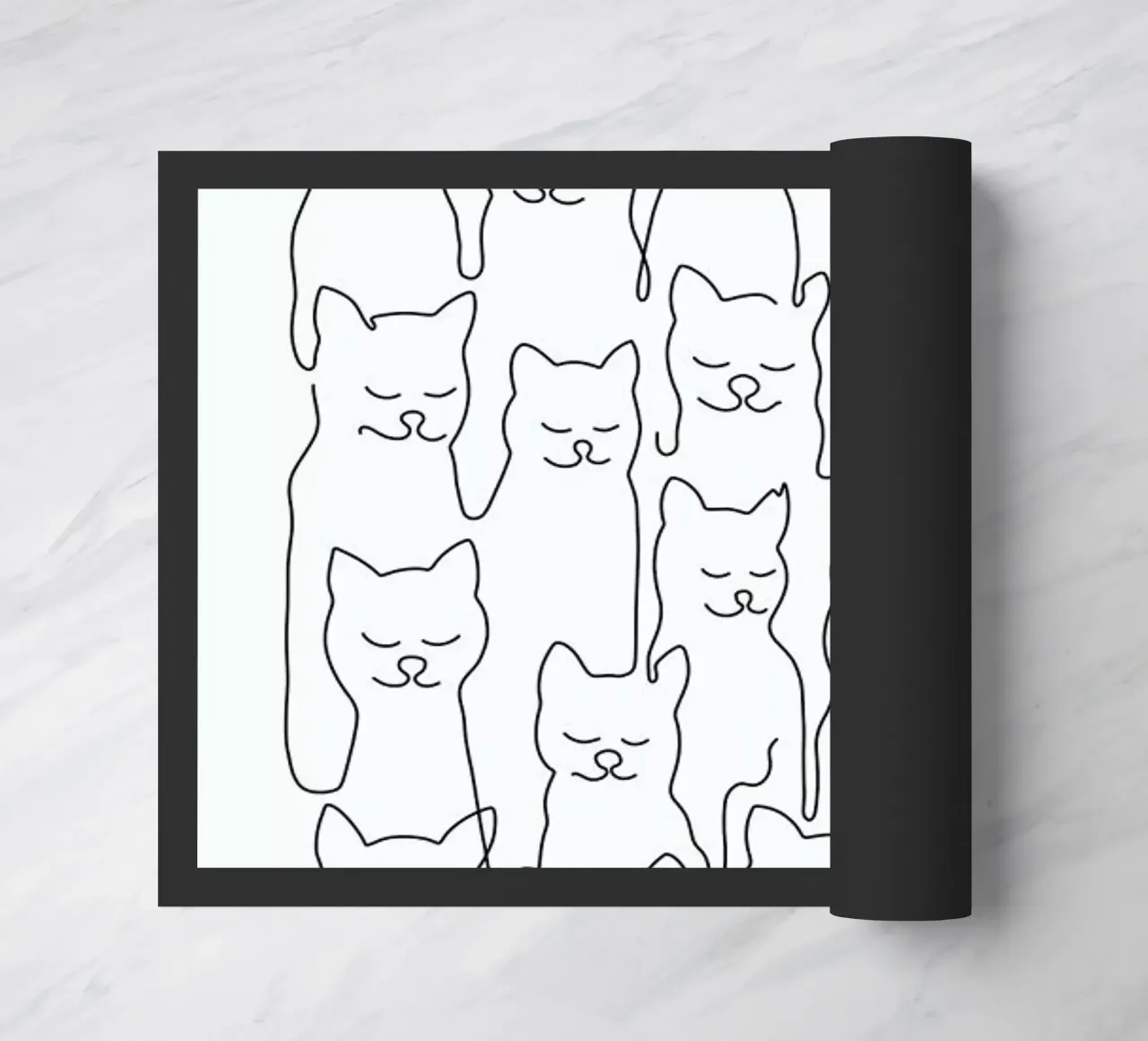 Catsss zerbino da Ninhol