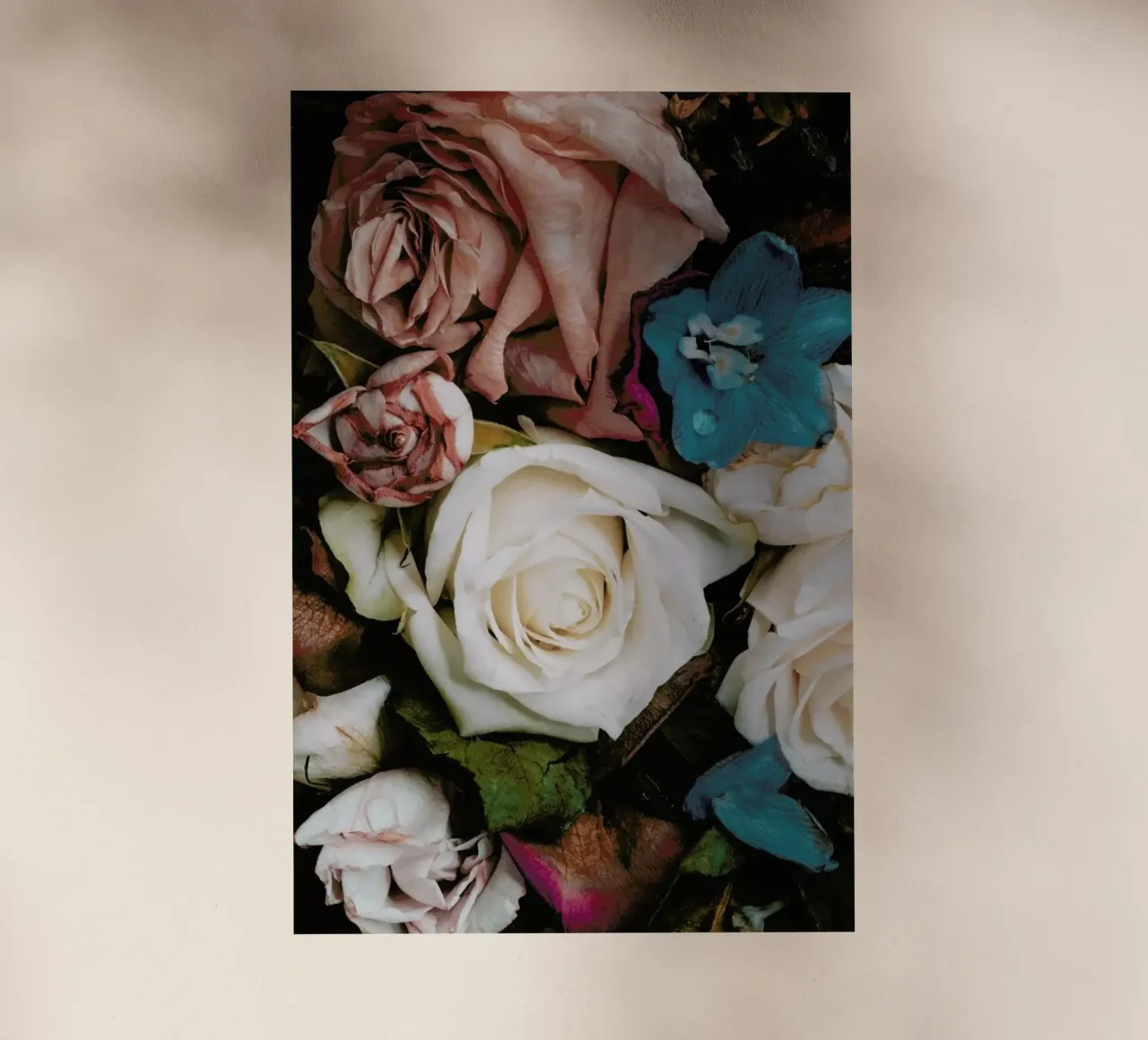 Reflection pellicola backlit da Leigh Viner