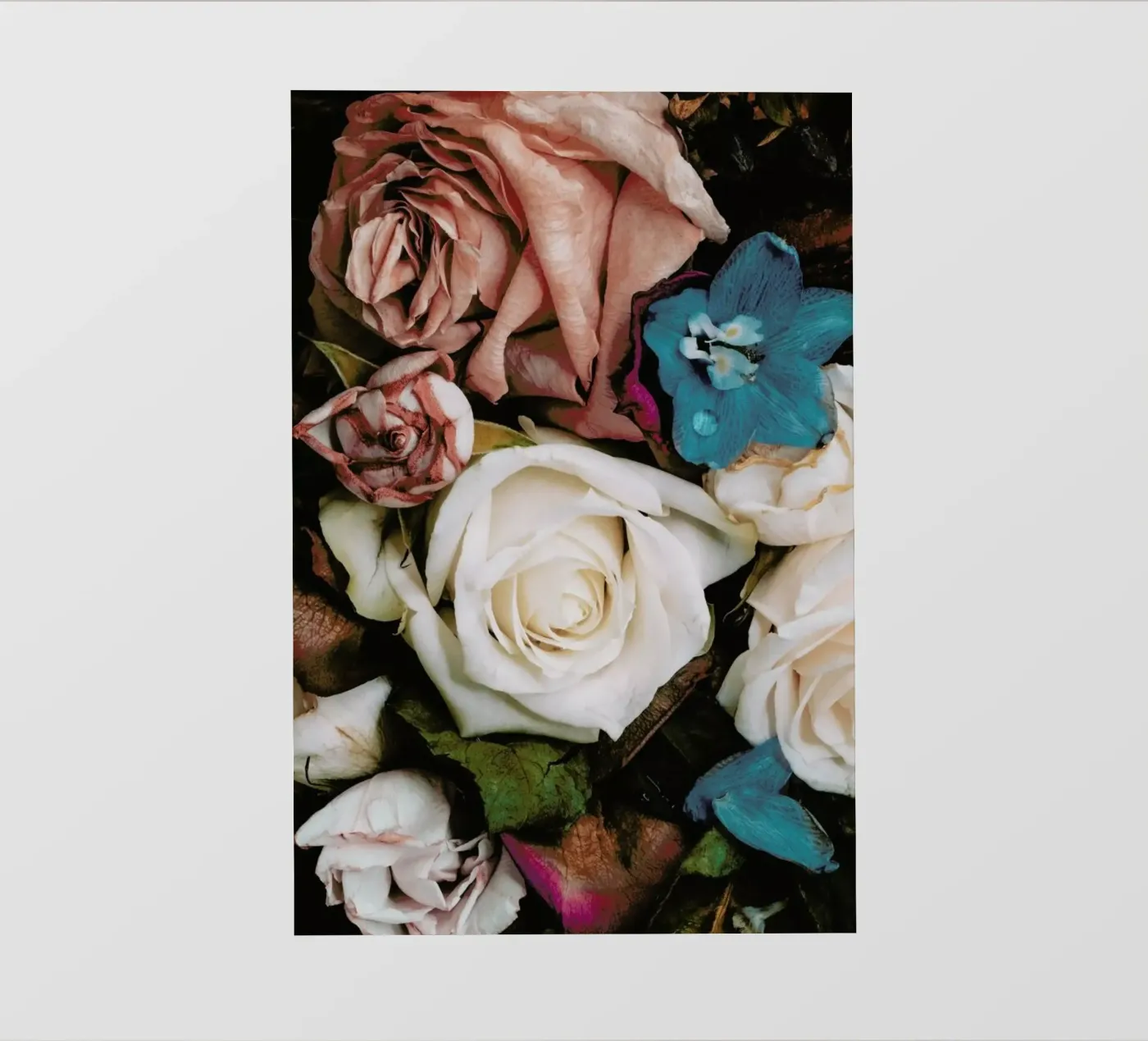 Reflection pellicola backlit da Leigh Viner