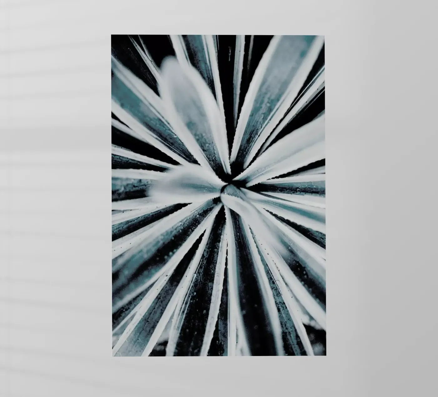 Aerial Forms backlit folie van Flora & Fauna