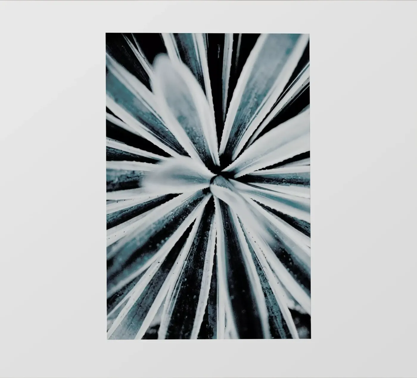 Aerial Forms backlit folie van Flora & Fauna