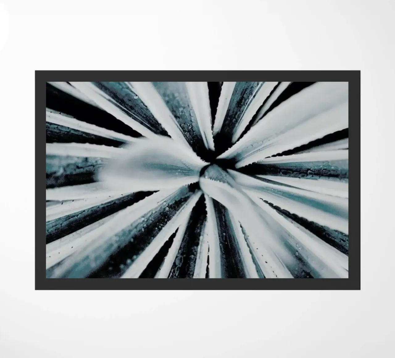 Aerial Forms zerbino da Flora & Fauna