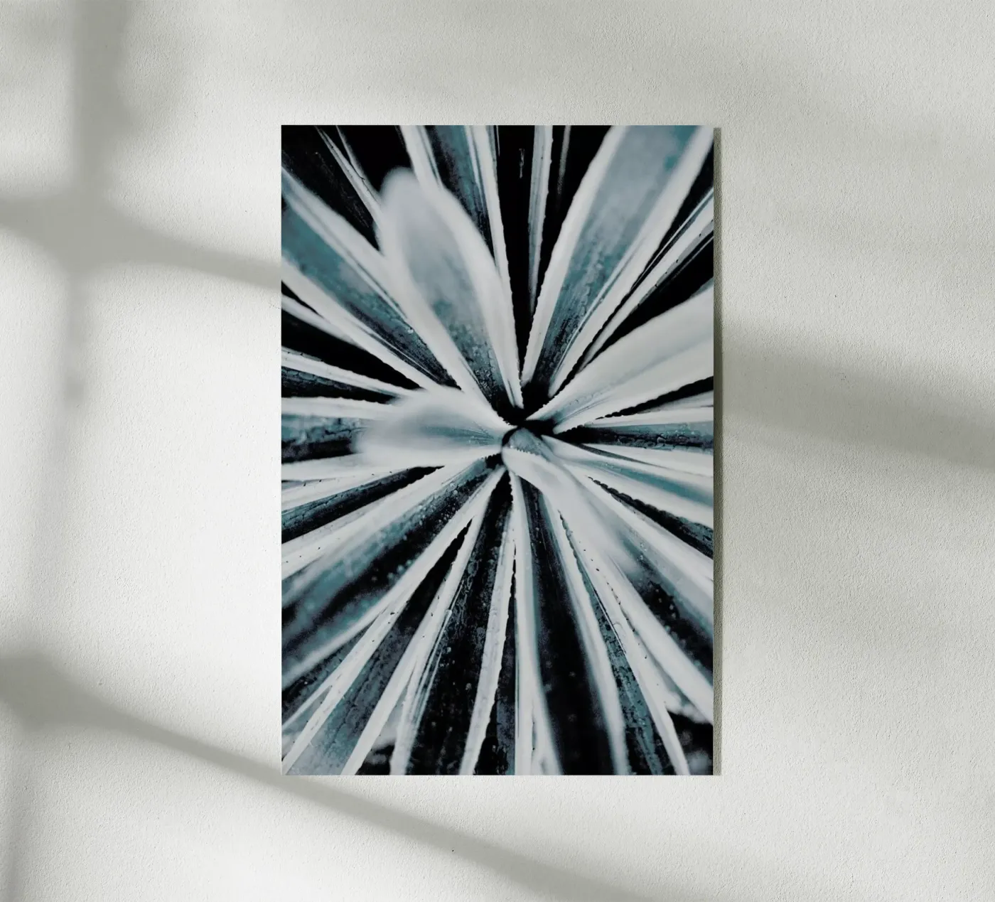 Aerial Forms plexiglas de Flora & Fauna