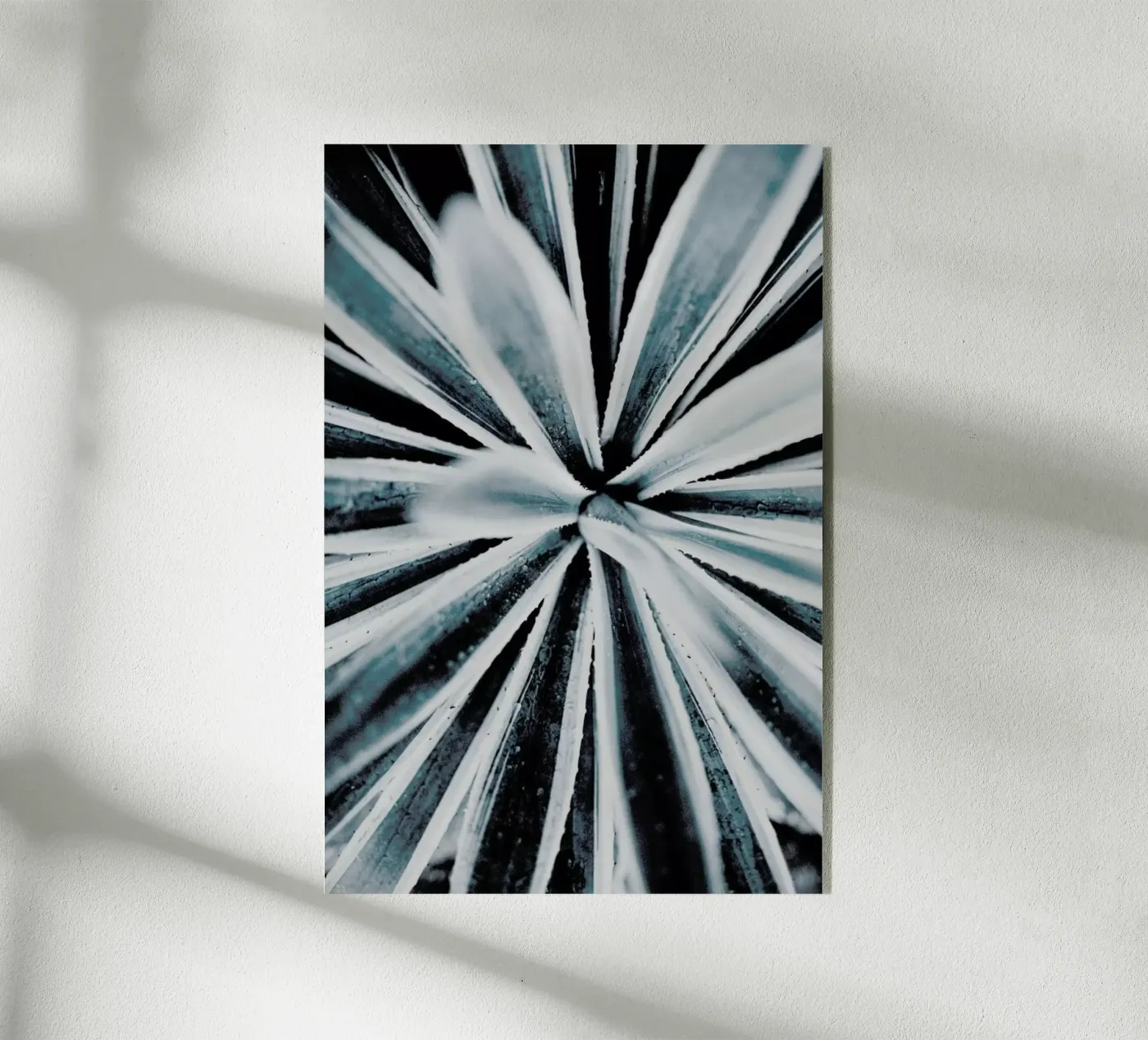 Aerial Forms Acryl-Glas von Flora & Fauna