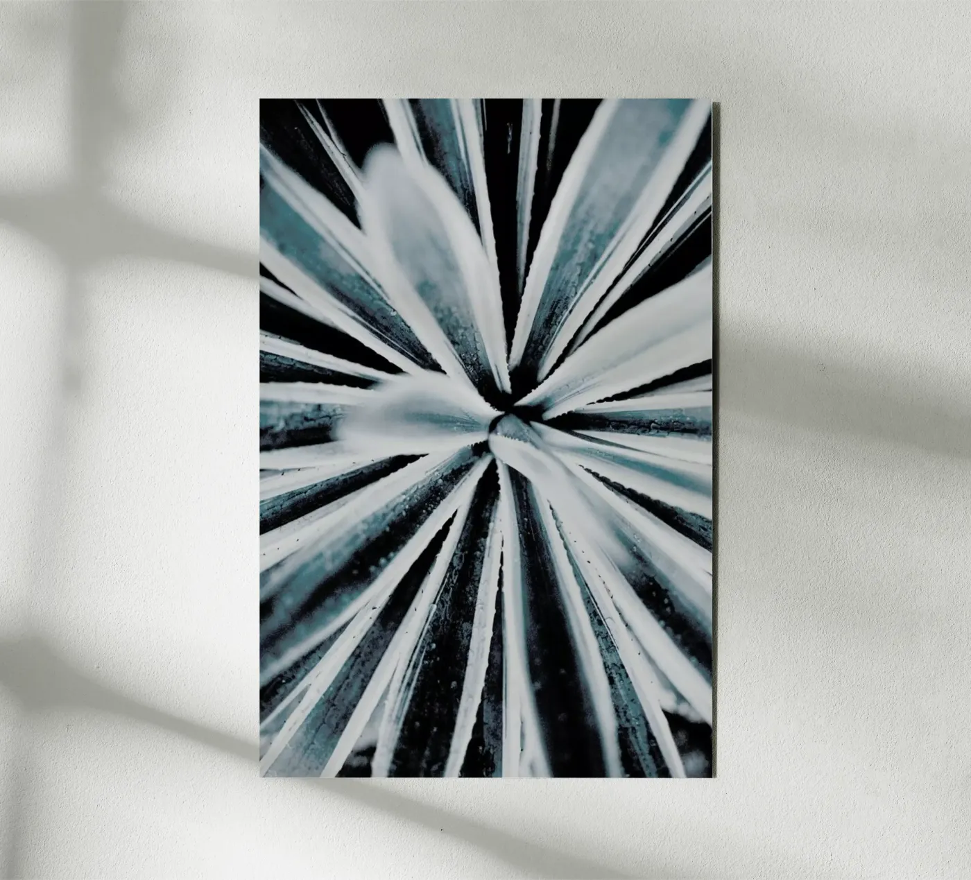 Aerial Forms alluminio dibond da Flora & Fauna