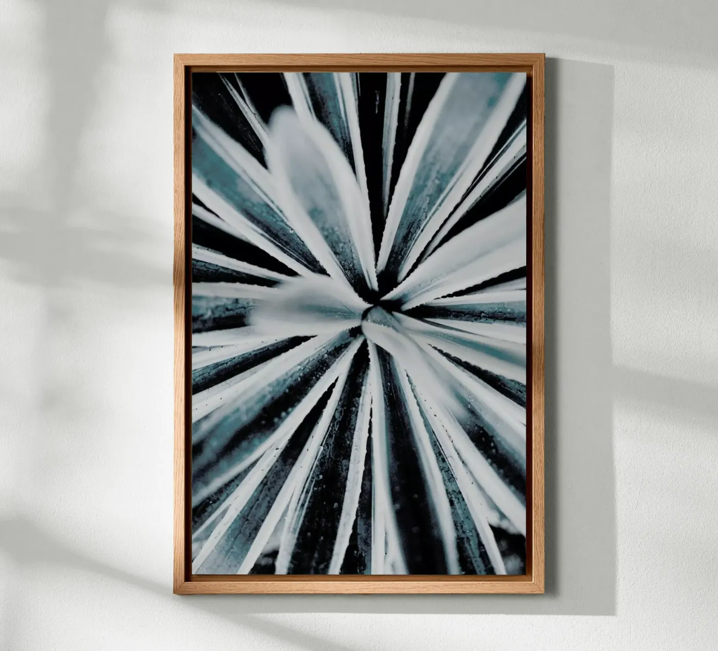 Aerial Forms canvas by Flora & Fauna