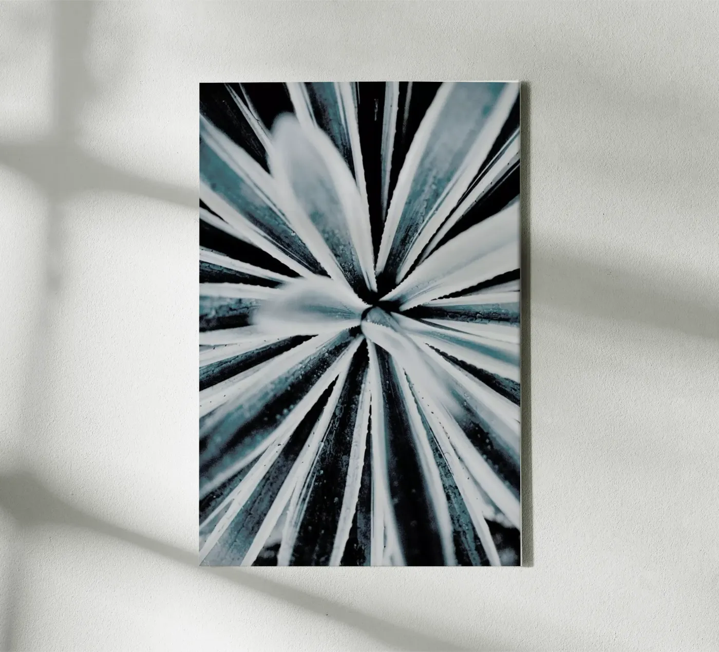 Aerial Forms canvas by Flora & Fauna