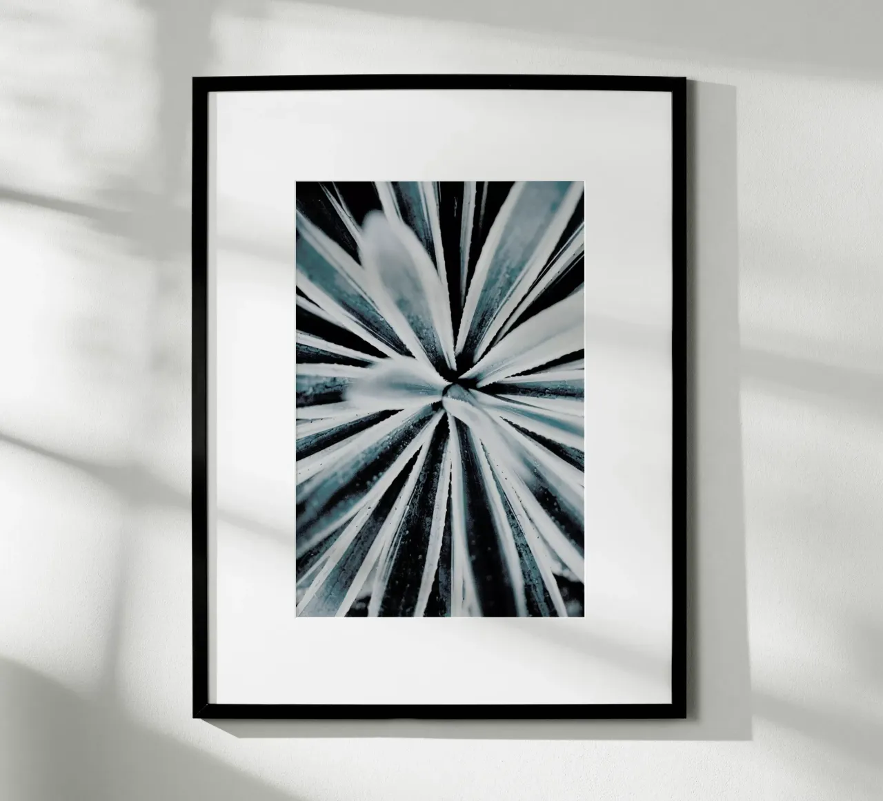 Aerial Forms Poster von Flora & Fauna