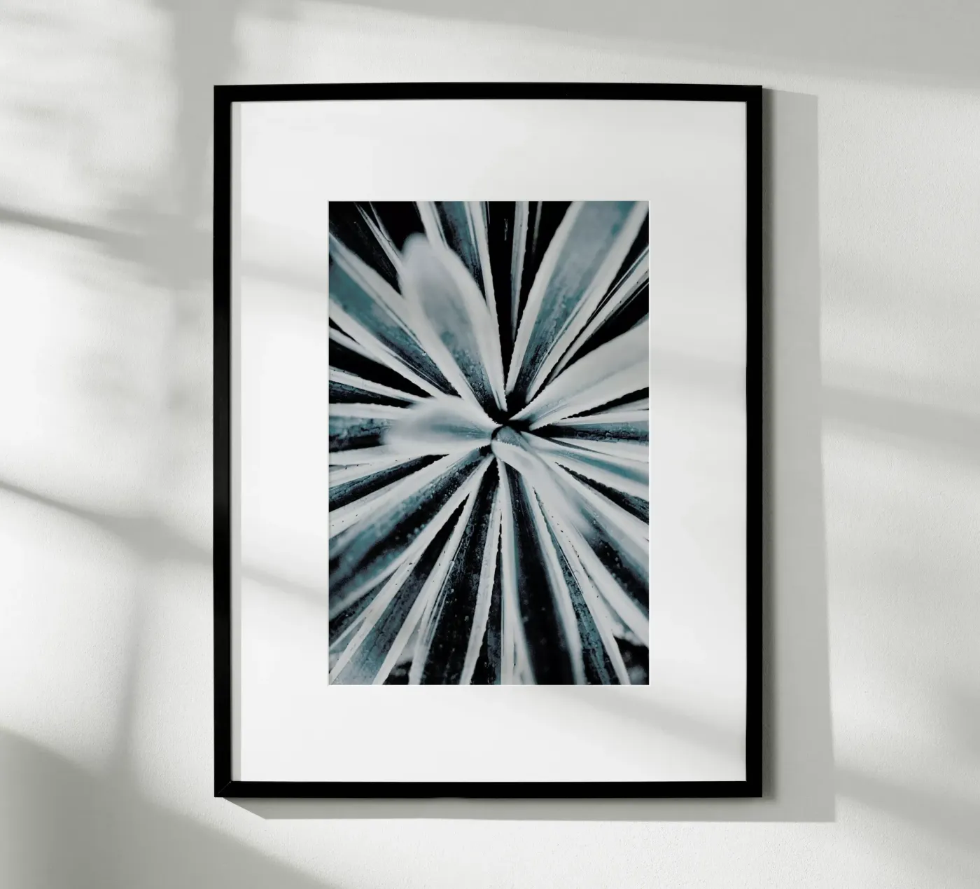 Aerial Forms poster de Flora & Fauna