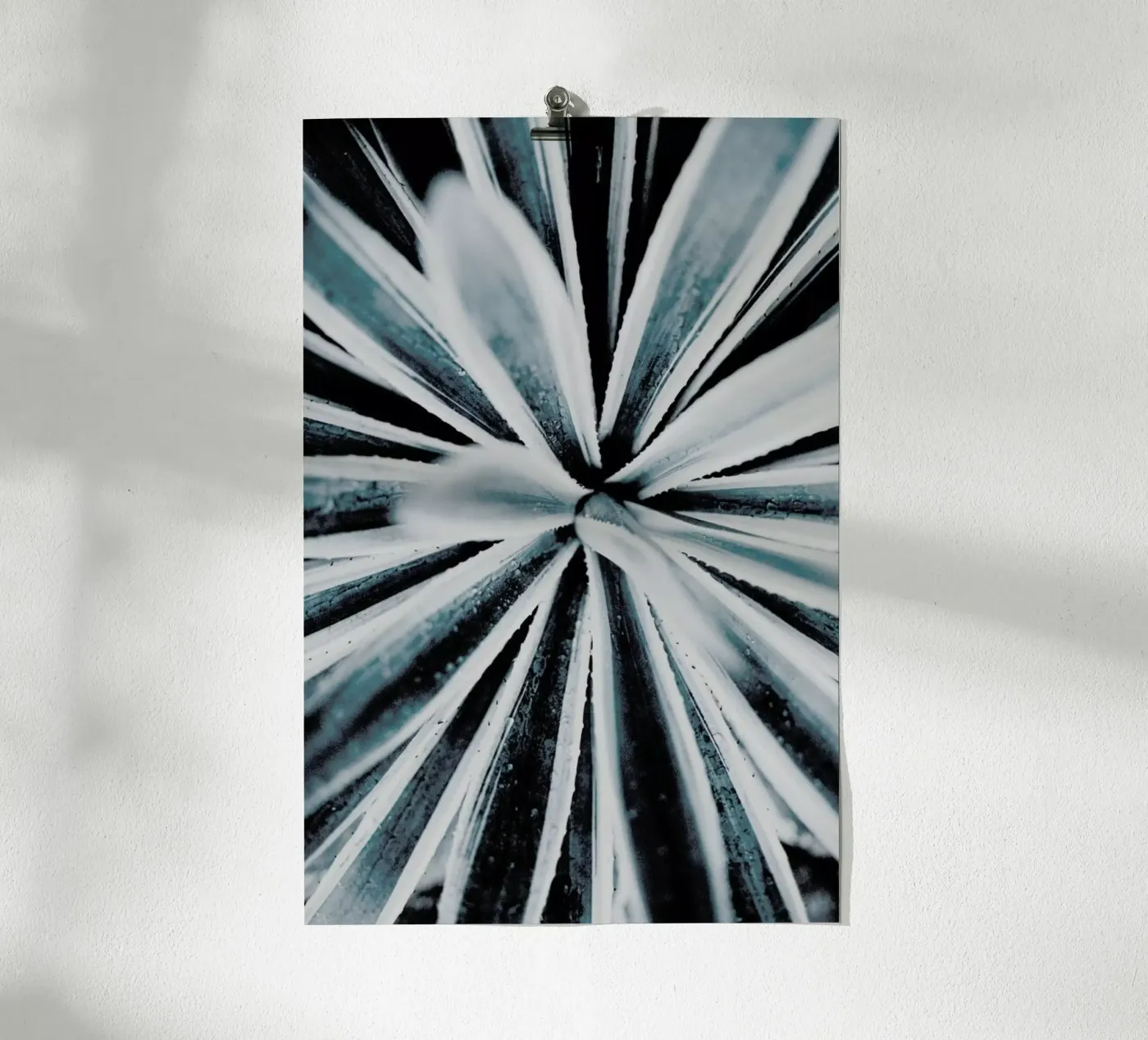 Aerial Forms poster by Flora & Fauna