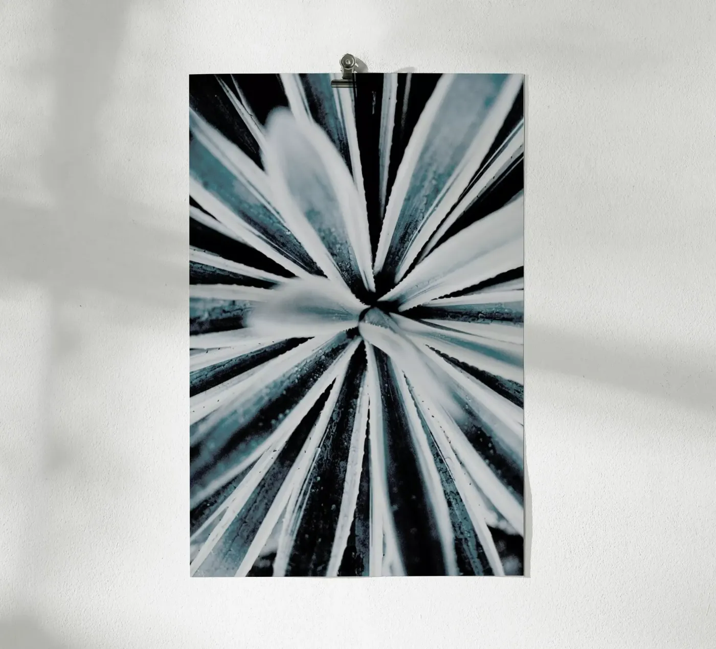 Aerial Forms poster de Flora & Fauna